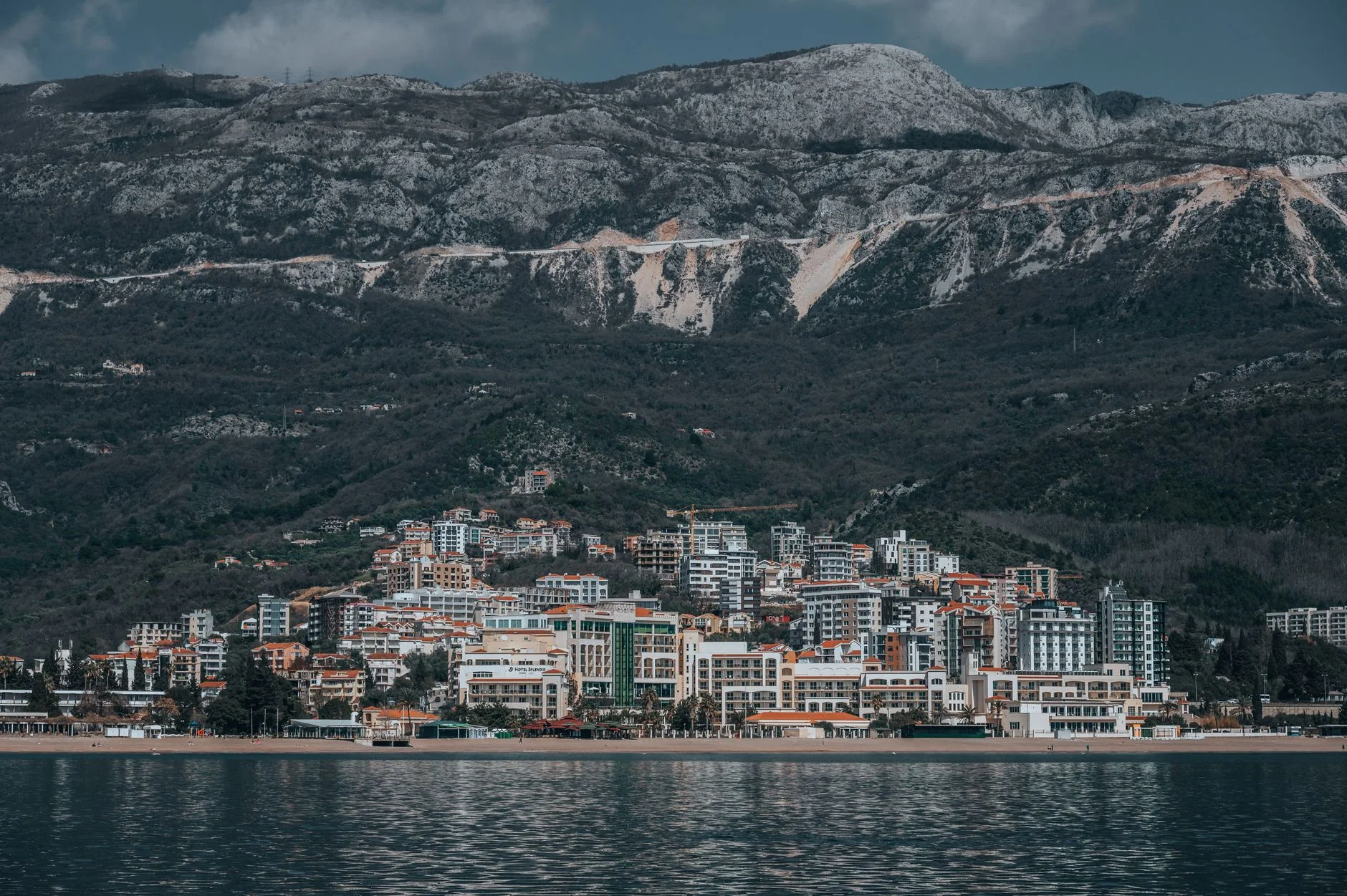 Search Engine Optimization in Montenegro: How Local Buyers Search