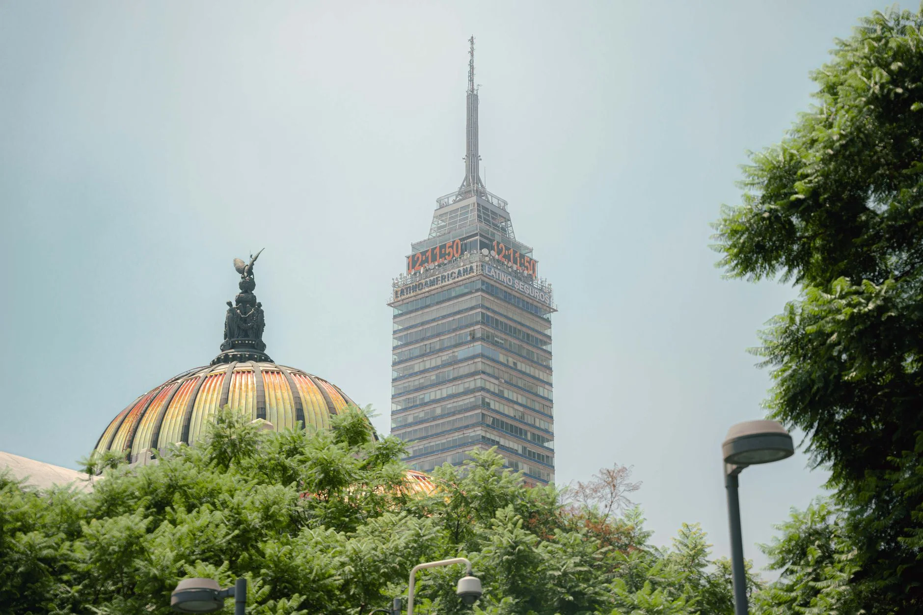 SEO in Mexico: How to Win Search in a Mobile-First Market