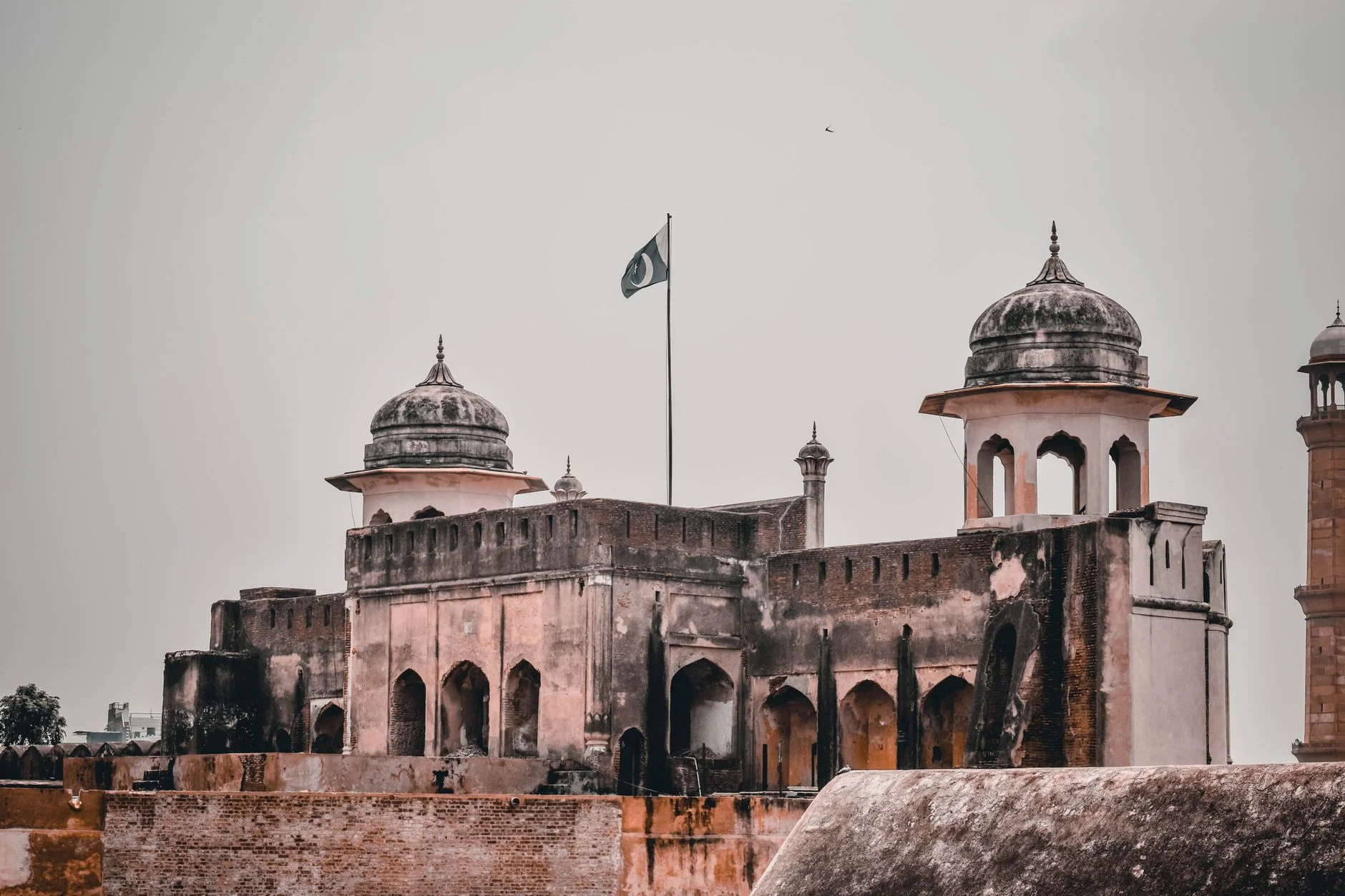 Building Attention and Trust with Video Content Marketing in Pakistan