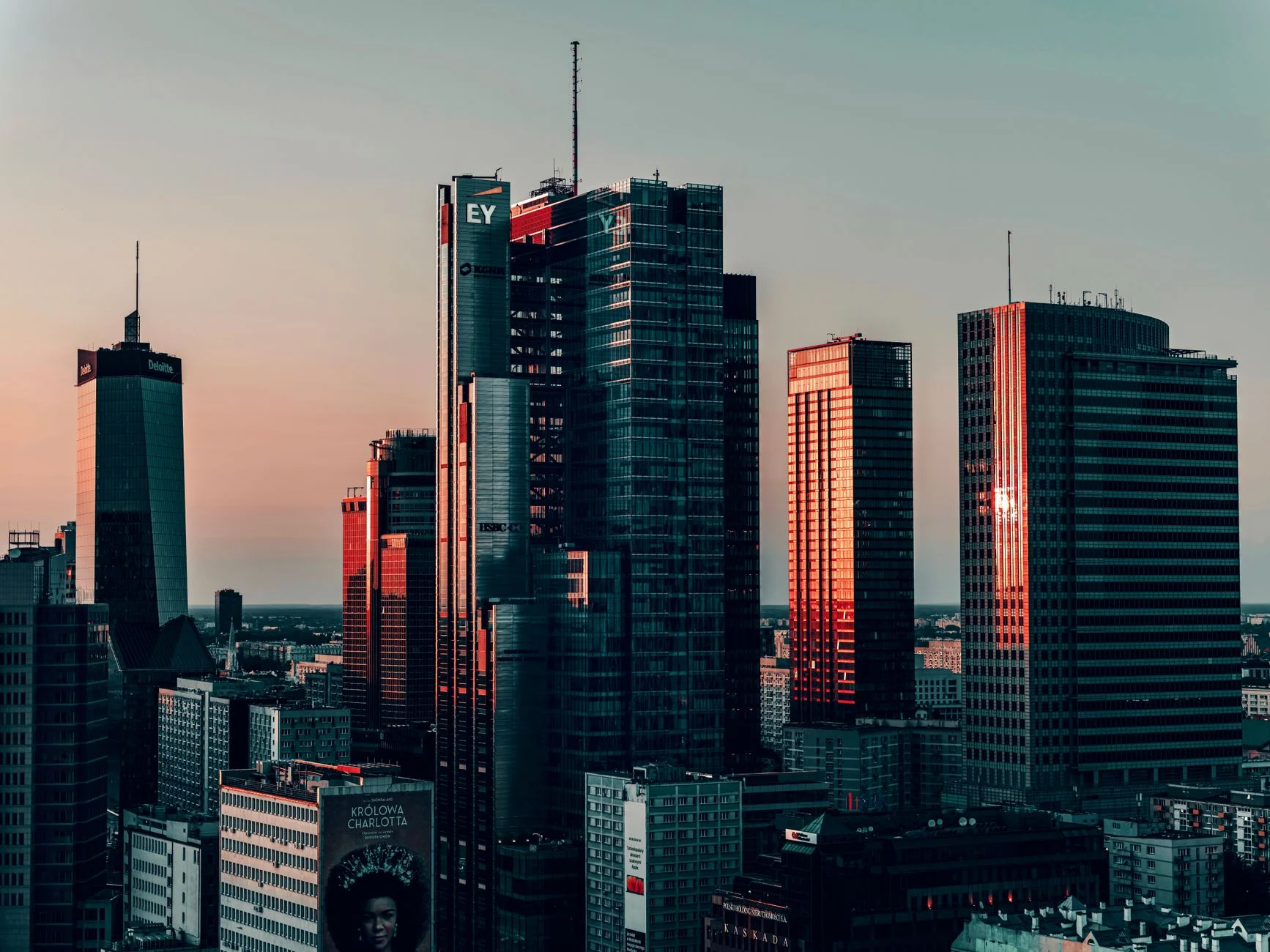 Paid Ads in Poland: How to Win as the Market Grows