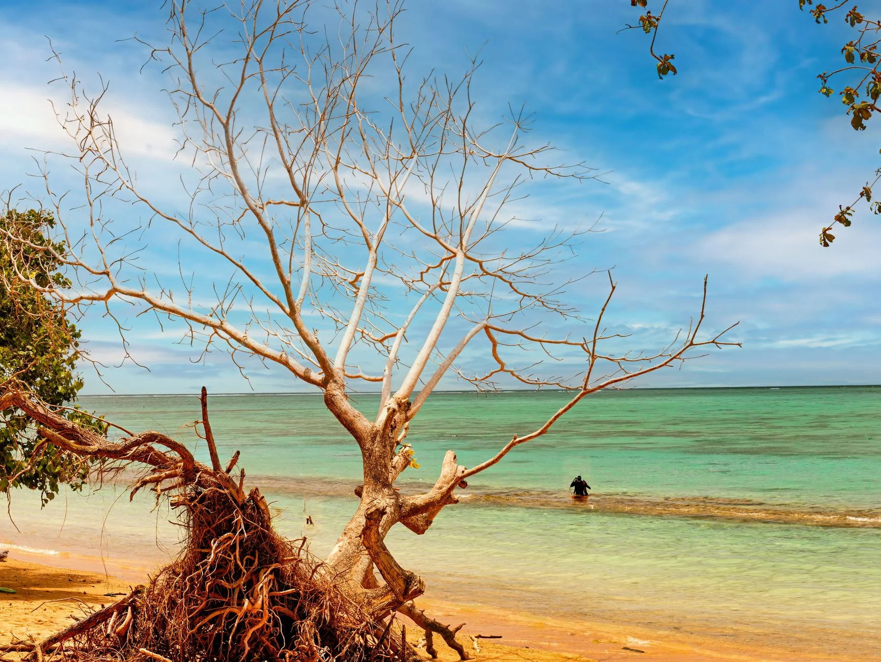 Building Attention and Trust in Samoa Through Video Content Marketing