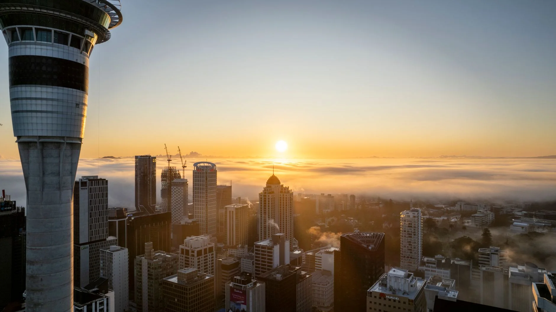 SEO in New Zealand: How to Win Search in a Digital-First Market