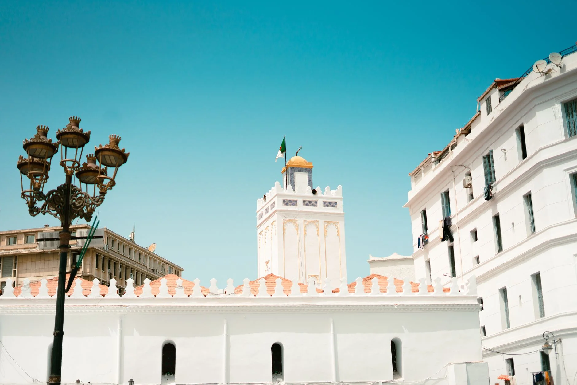 Reaching Buyers Profitably in Algeria Through Paid Advertising