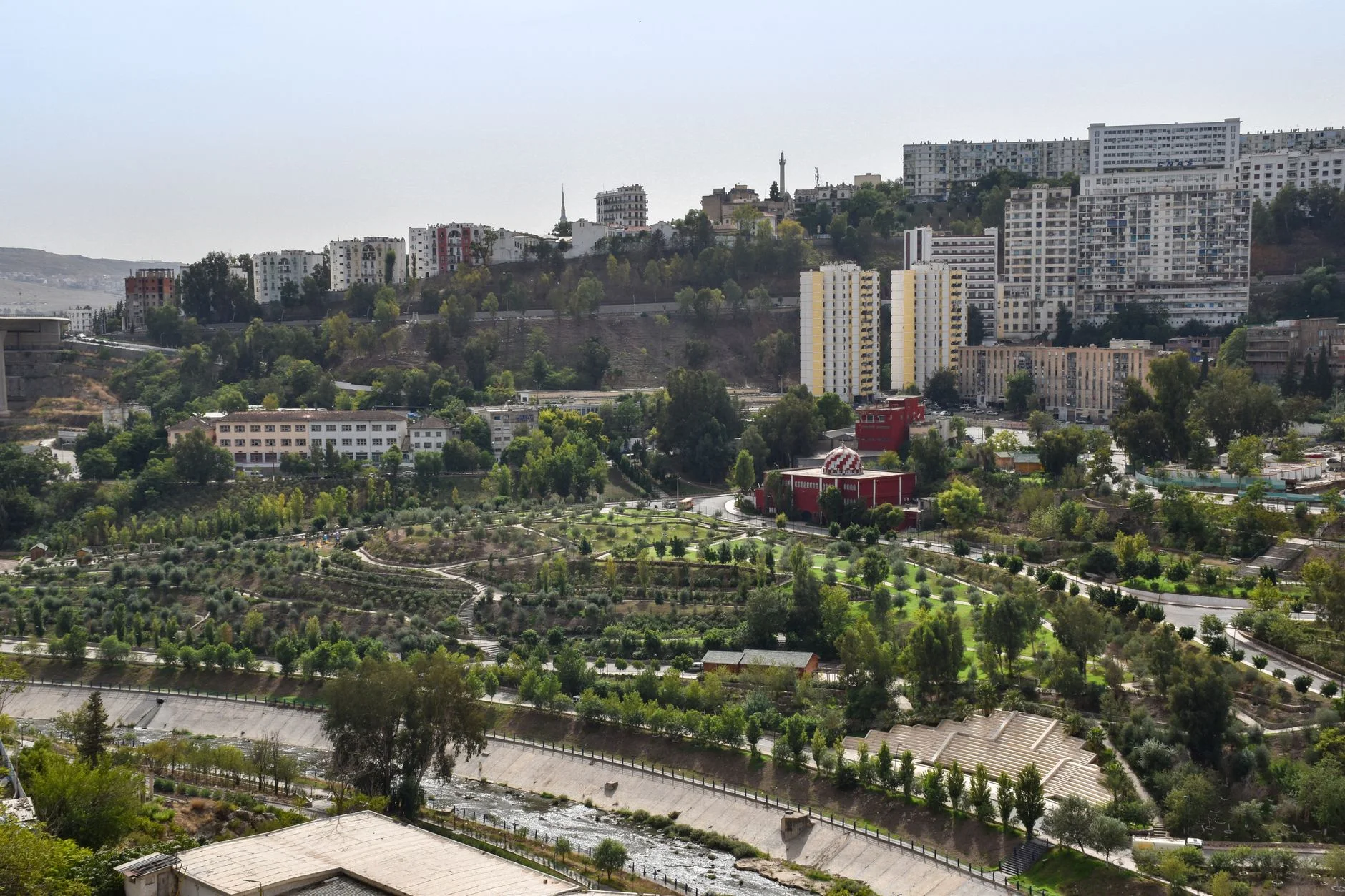Why Clear Brand Identity Wins in Algeria's Market