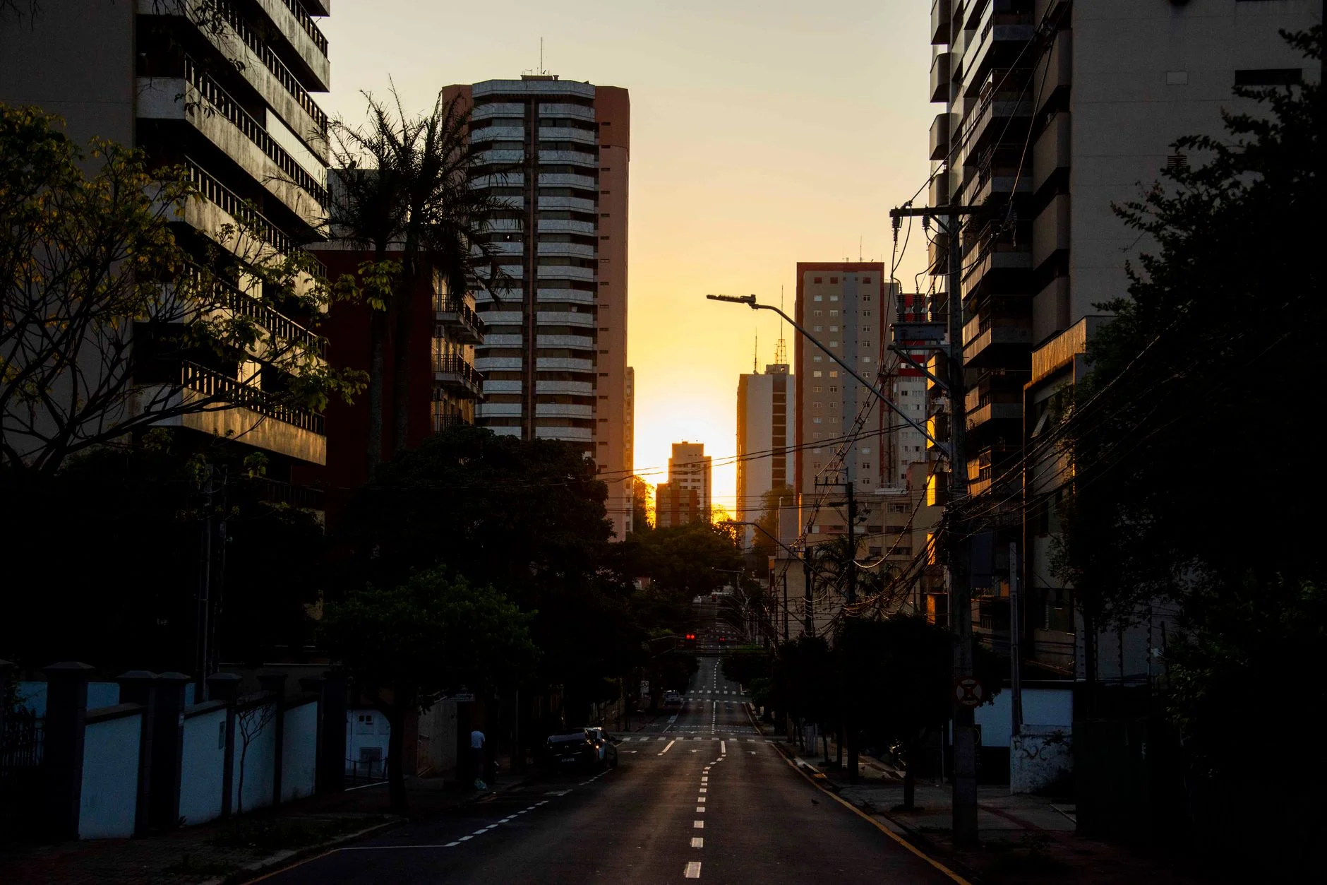 Web Development in Brazil: Build for Mobile-First Buyers