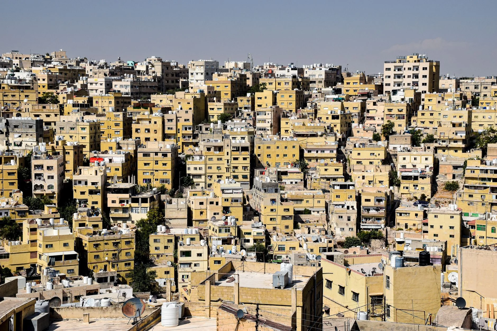 Paid Ads in Jordan: How to Reach a Young, Online Audience