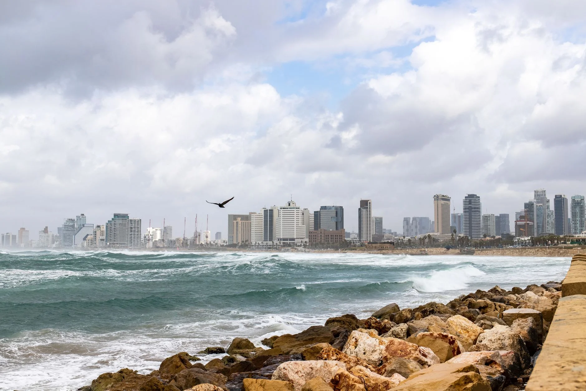 Search Engine Optimization in Israel: How Local Buyers Search