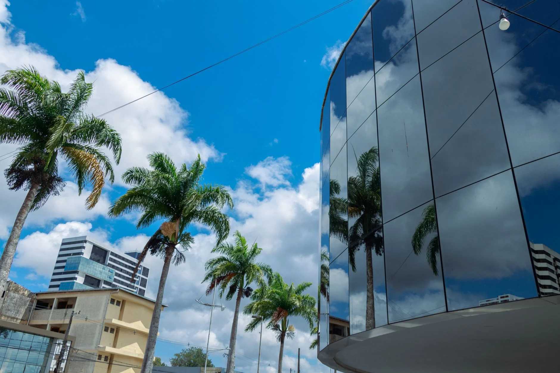 Why Clear Brand Strategy Wins in Comoros