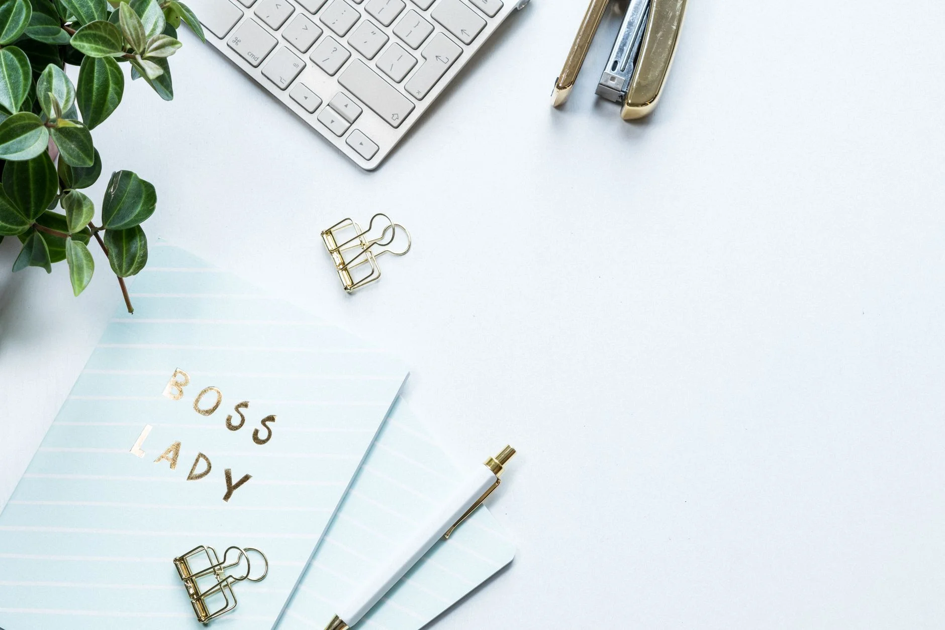 How Much Does It Cost to Become an Illustrator?