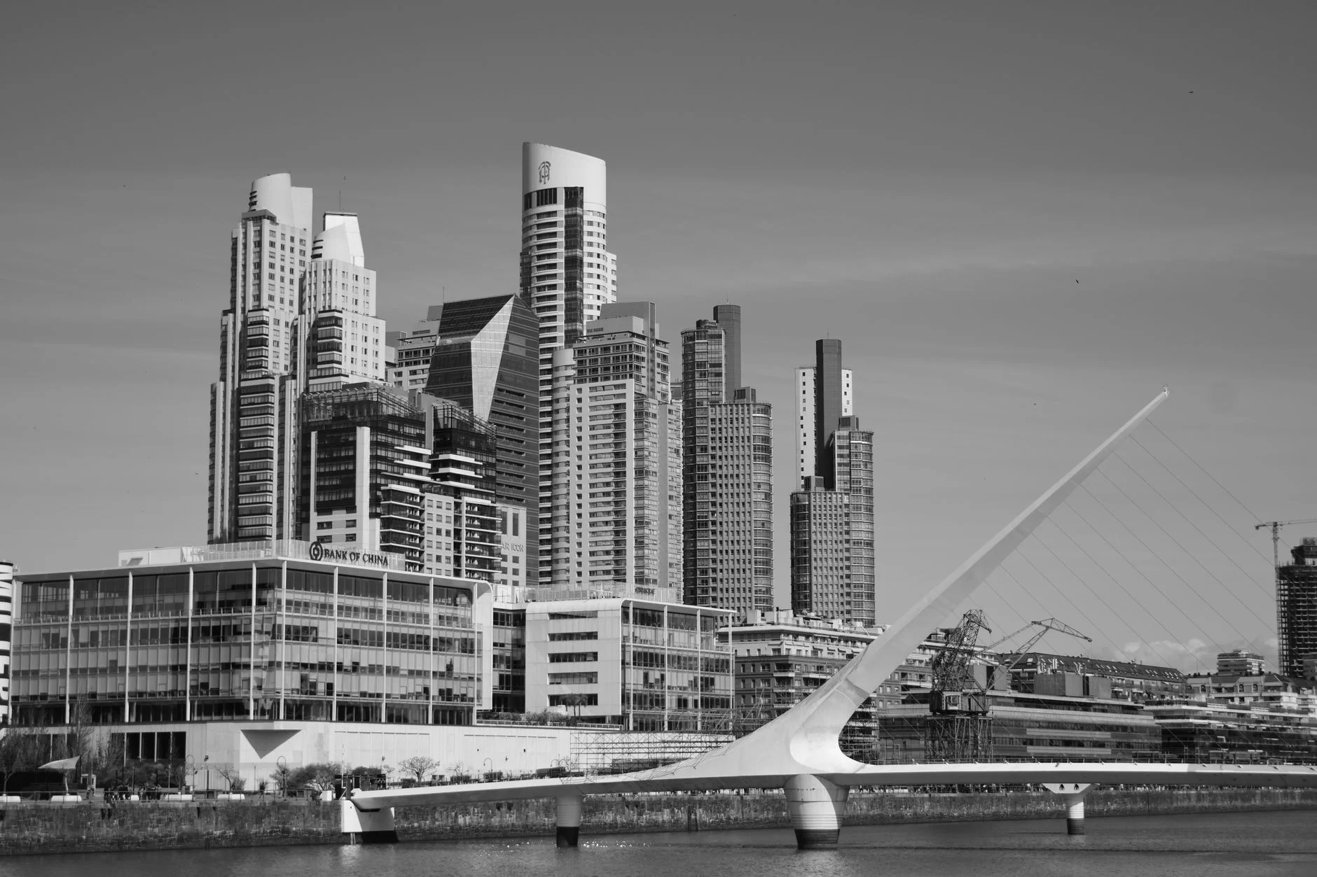 SEO in Argentina: How to Win Search in a Social Market