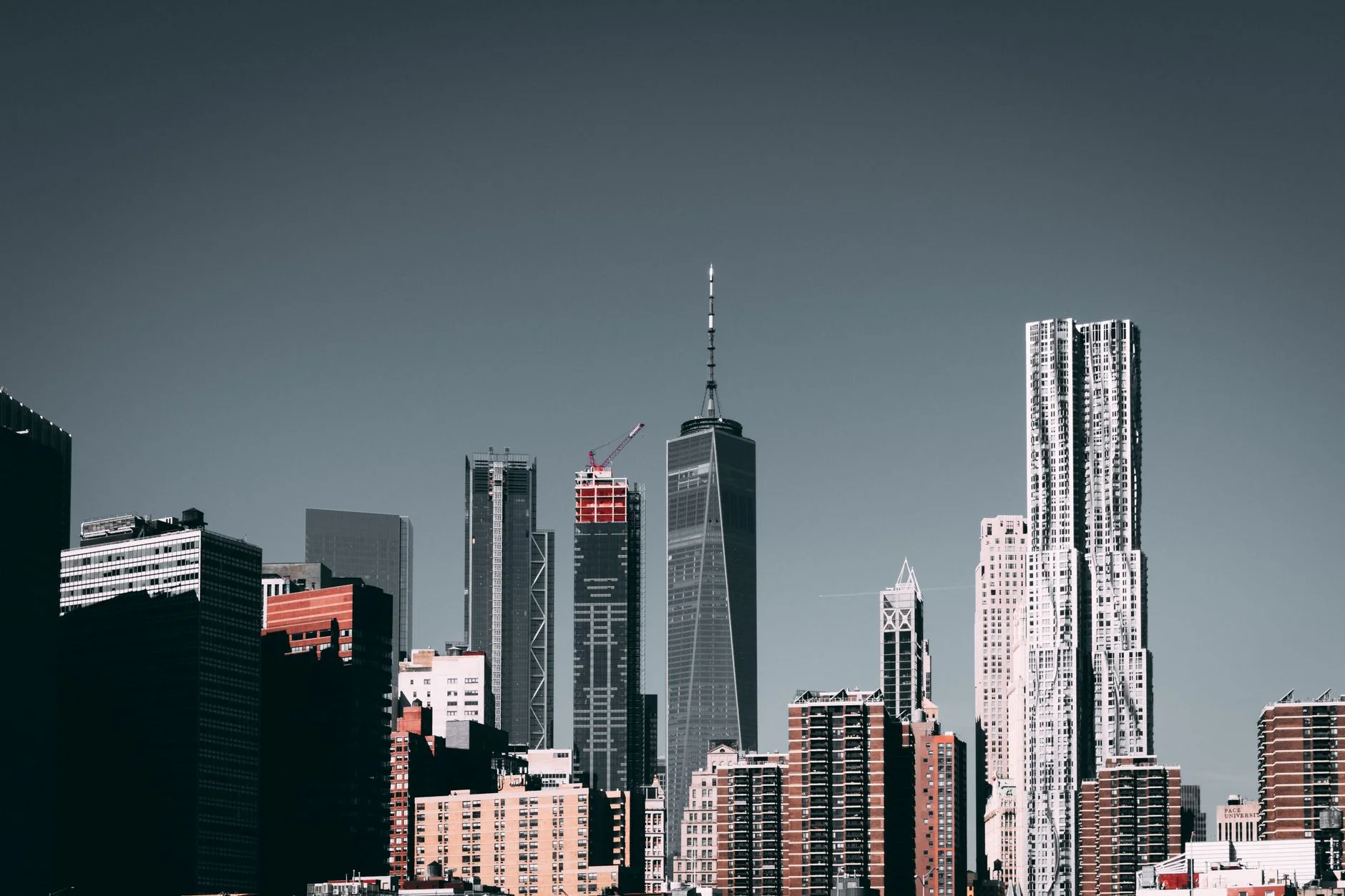 SEO in the US: How to Win Search in a Mature, Crowded Market