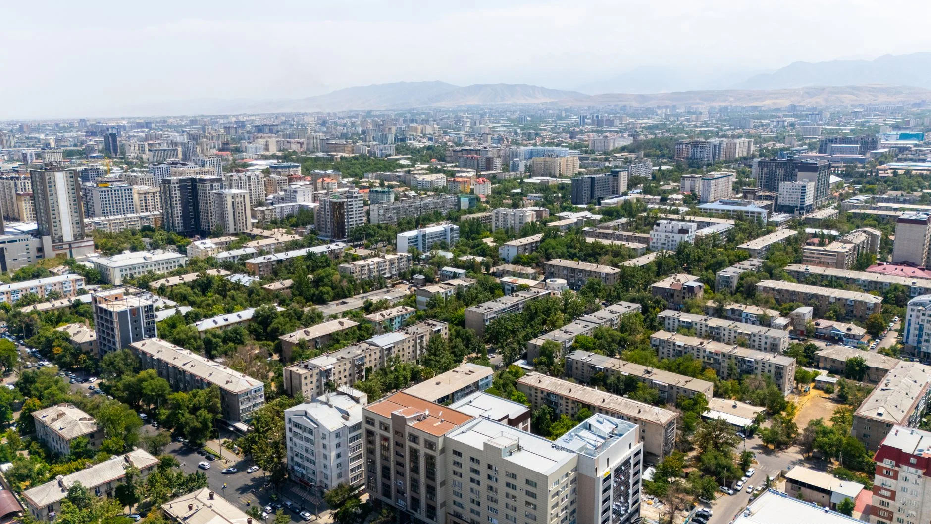 Why Clear Brand Identity Wins in Kyrgyzstan