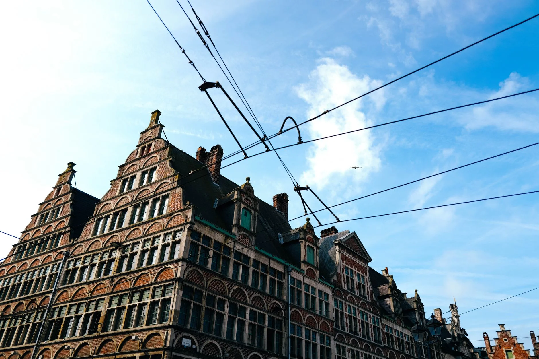 Web Development in Belgium: Sites That Speak Every Language