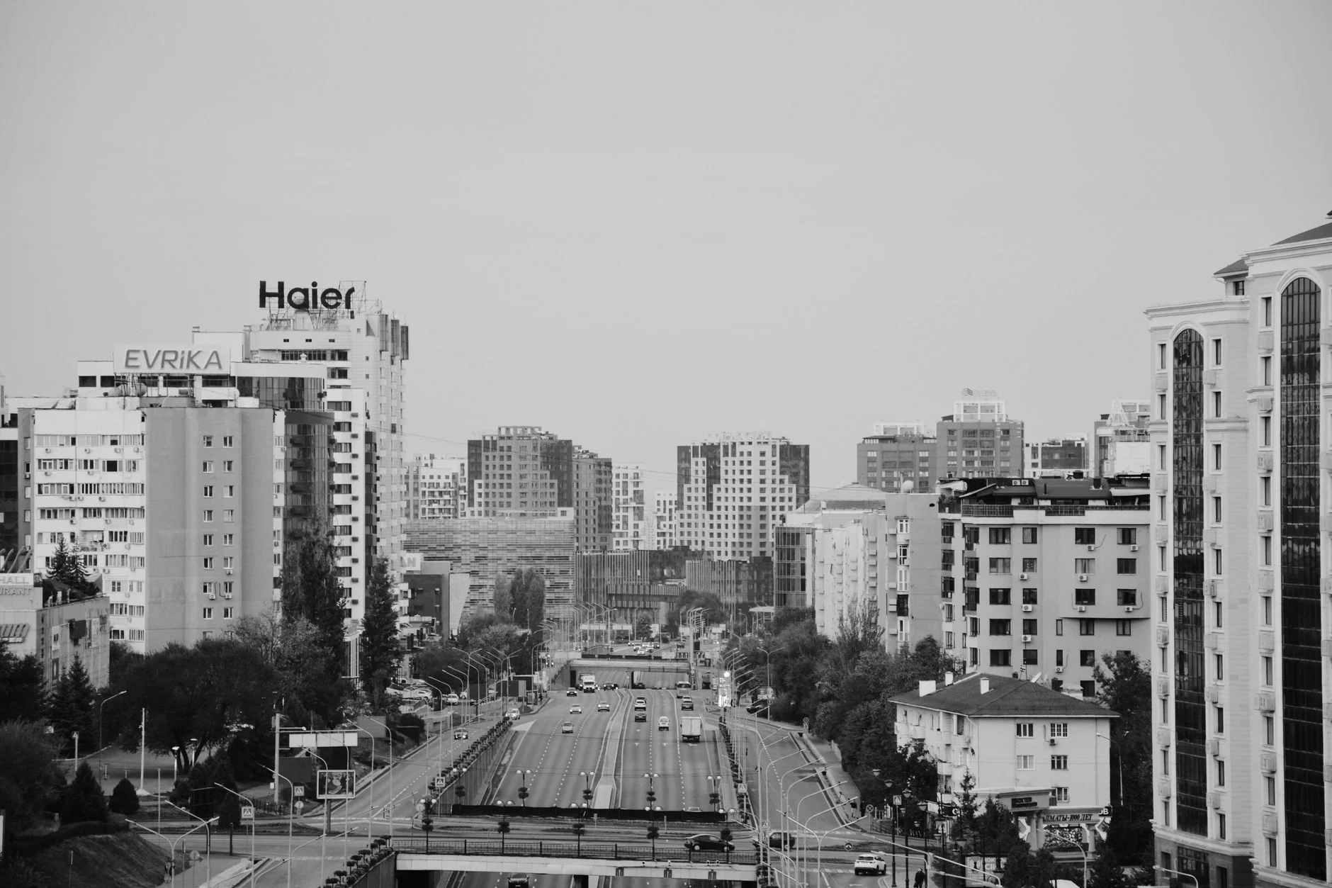 Reaching Buyers Profitably with Paid Advertising in Moldova