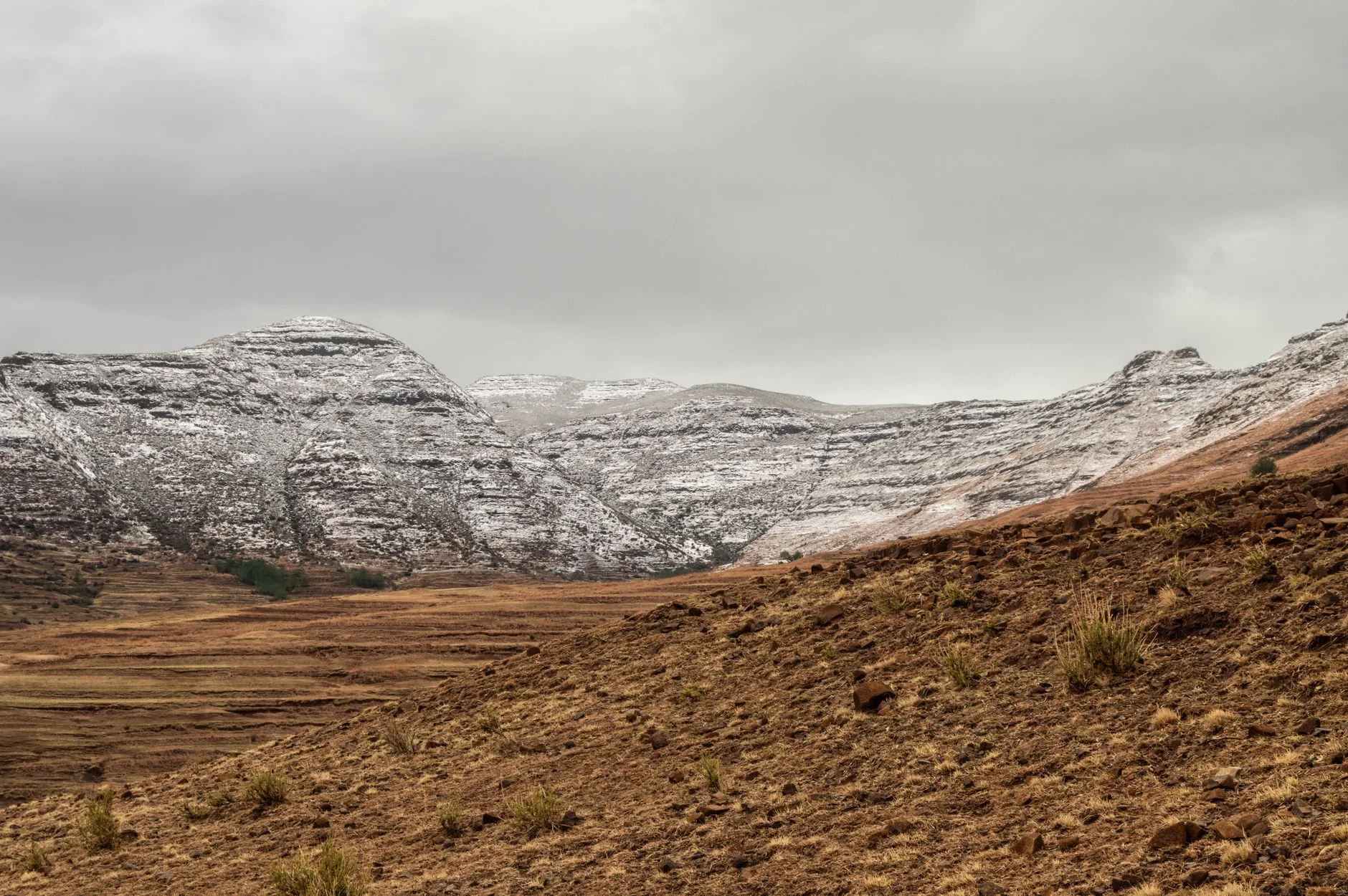 Search Engine Optimization in Lesotho: How Local Buyers Search