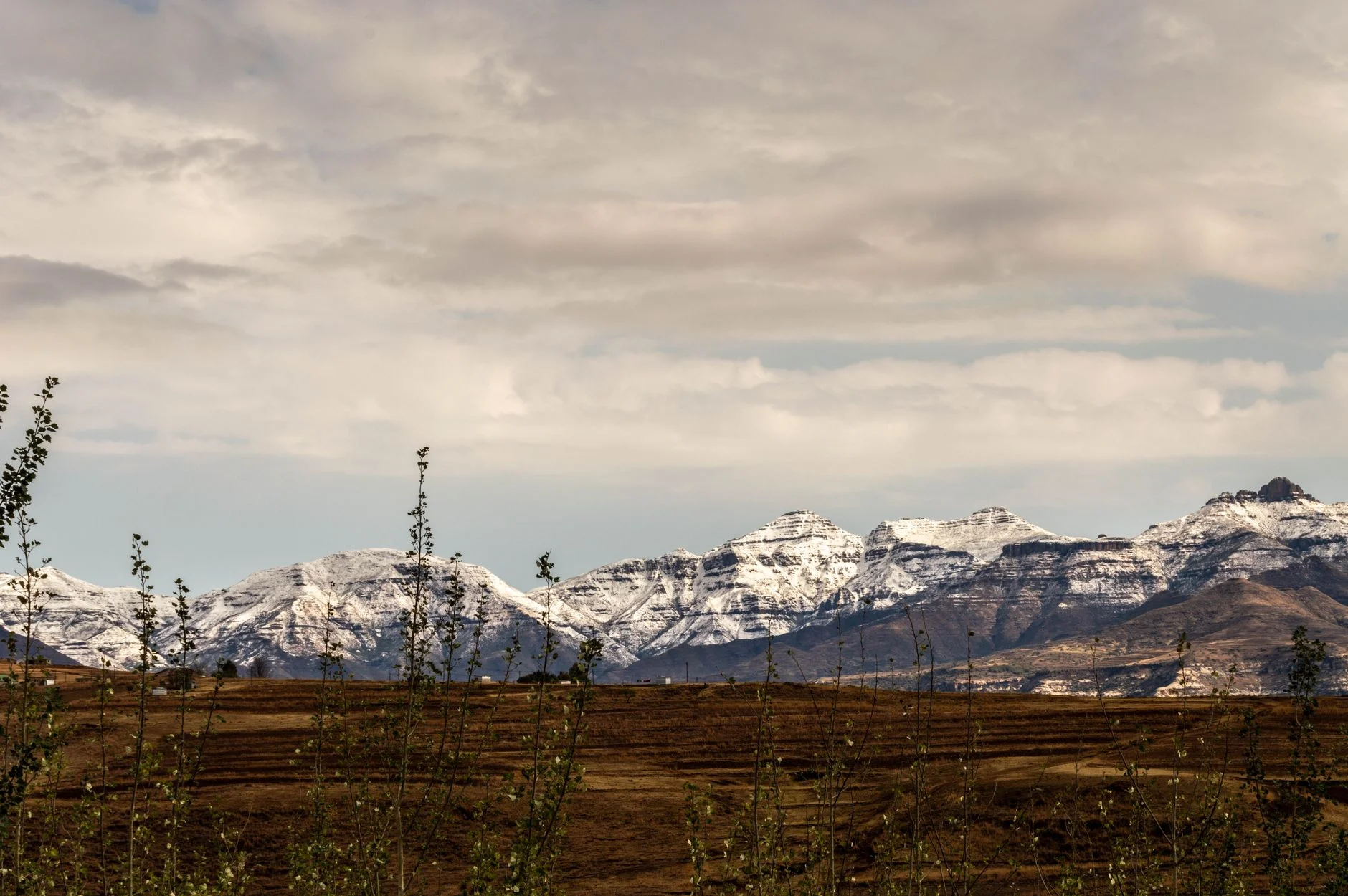 Web Development in Lesotho: Fast, Modern Sites for Growth