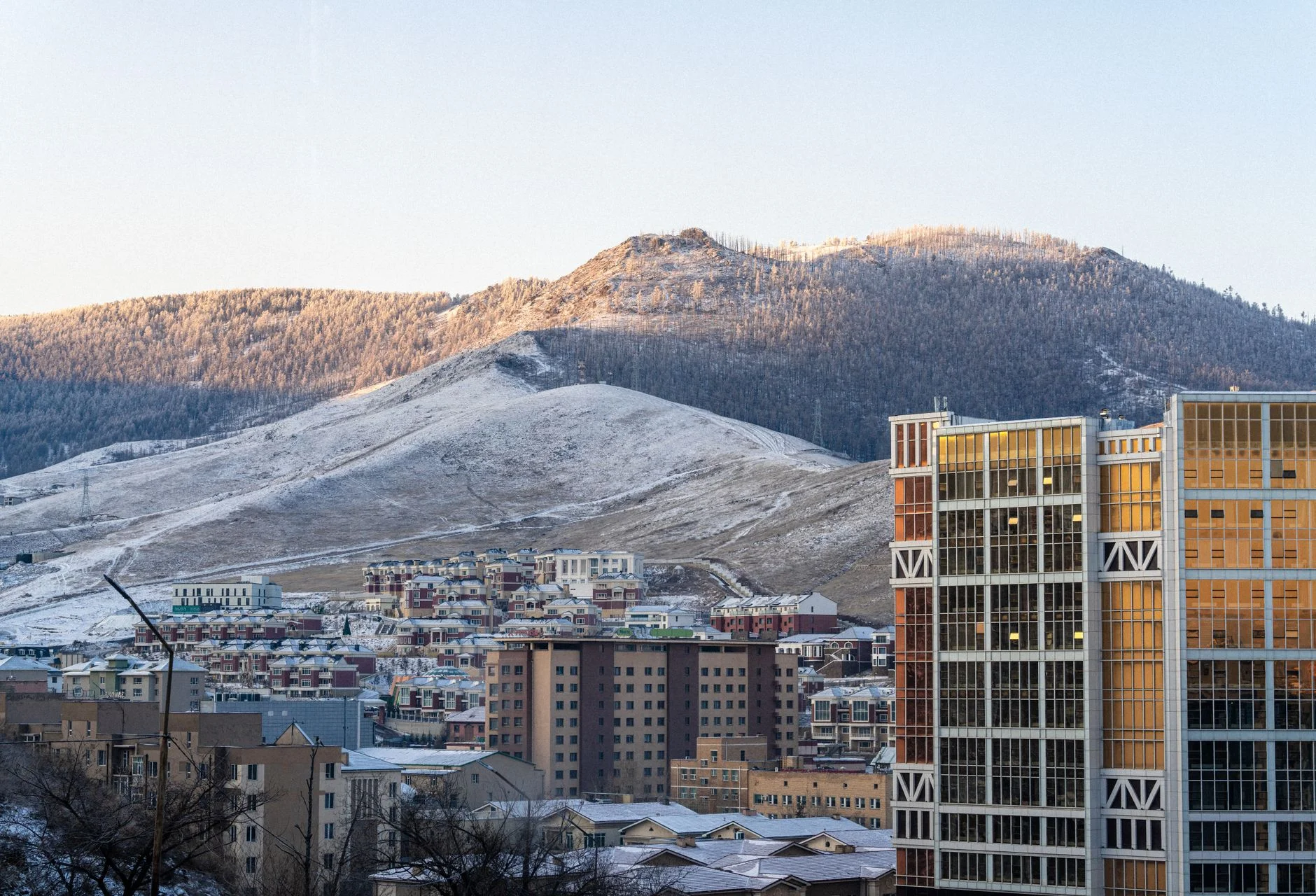Building Attention and Trust with Video Content Marketing in Mongolia