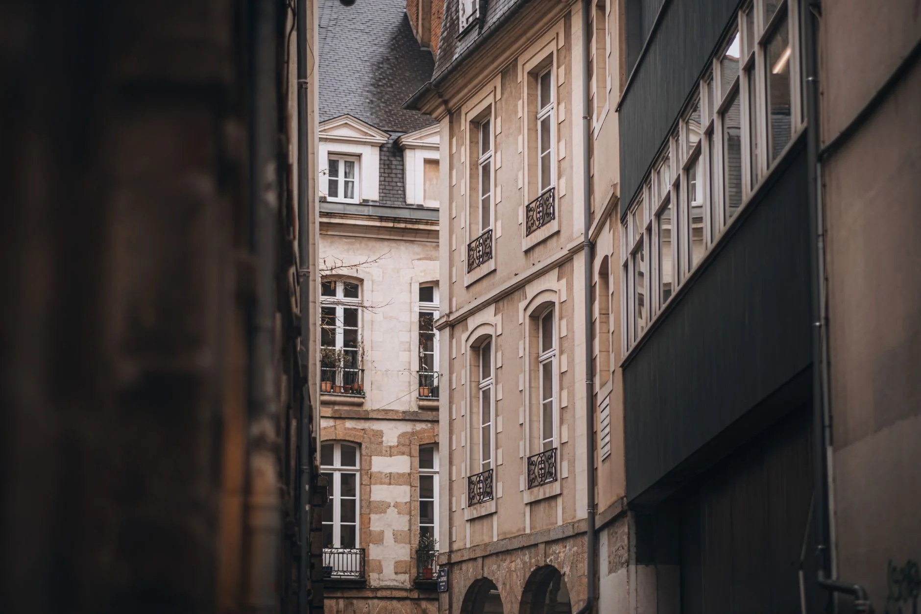 Video and Content in France: How to Win a Refined Feed