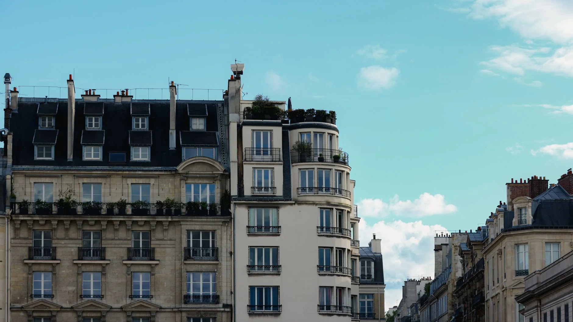 Web Development in France: Sites That Earn Taste and Trust