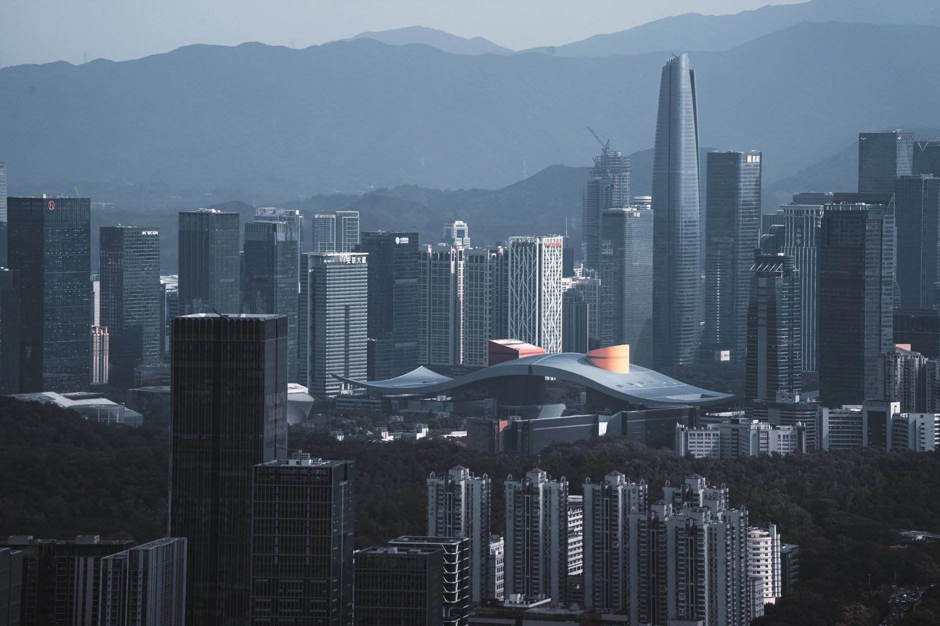 Why Clear Branding Wins in China's Digital Market