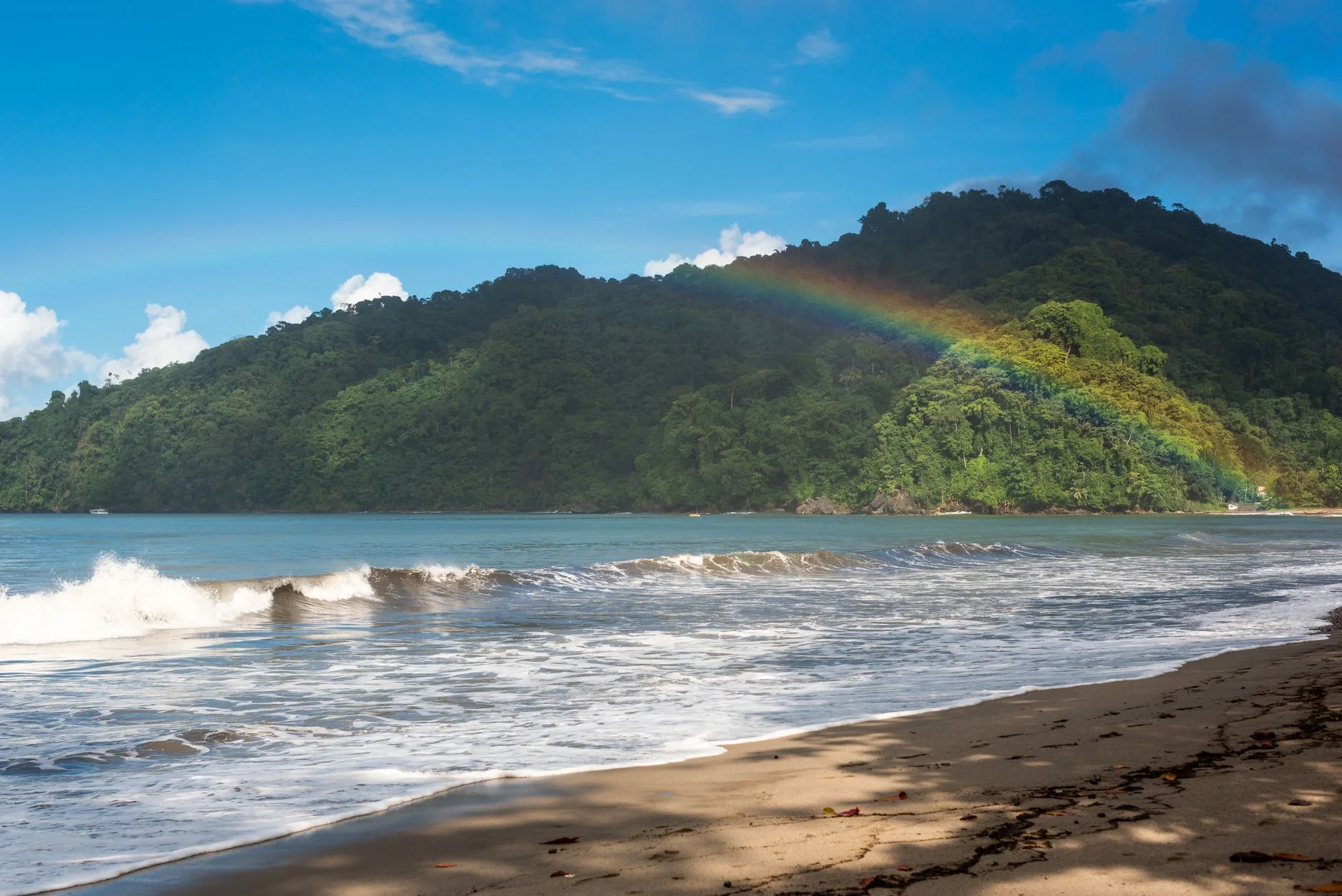 Reaching Buyers Profitably in Trinidad and Tobago with Paid Advertising