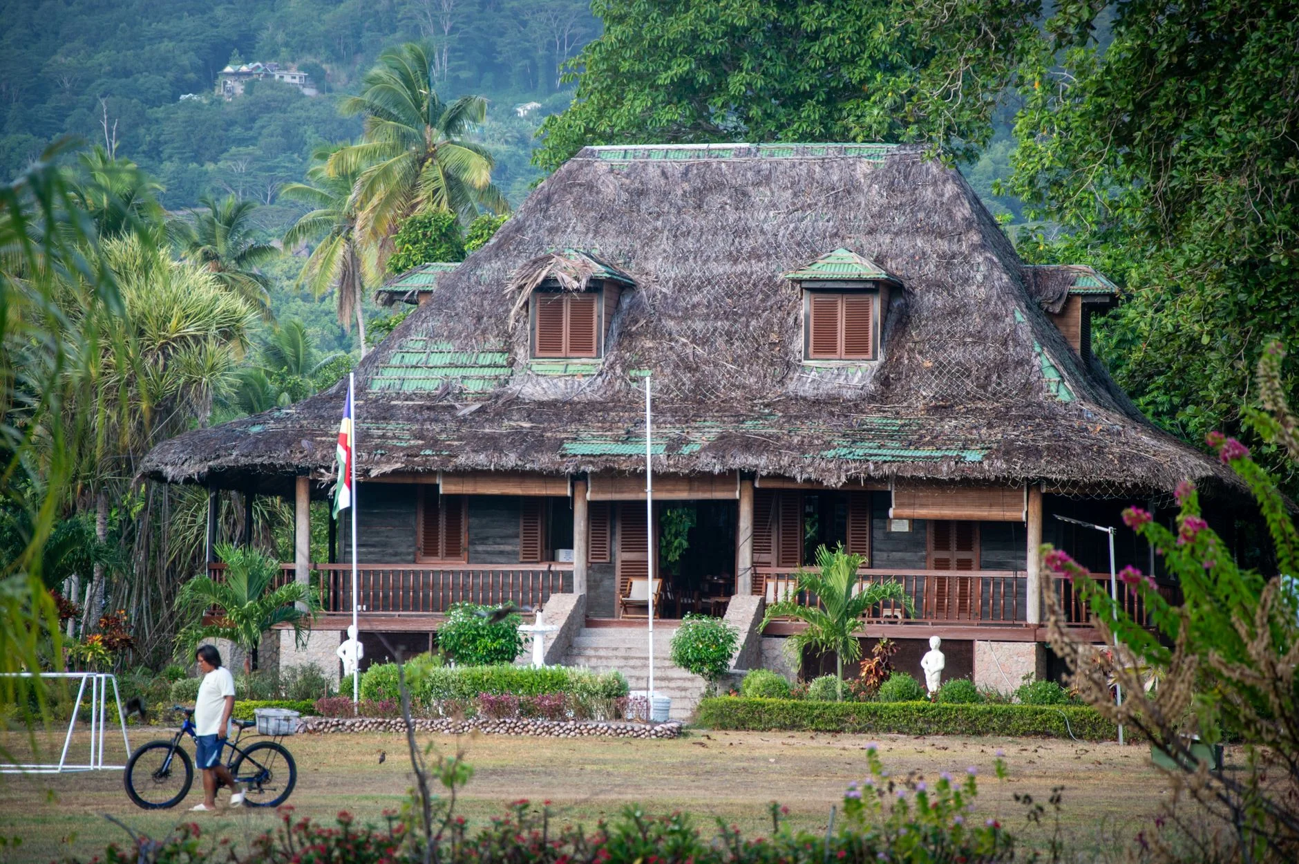 Why Clear Brand Identity Wins in Seychelles