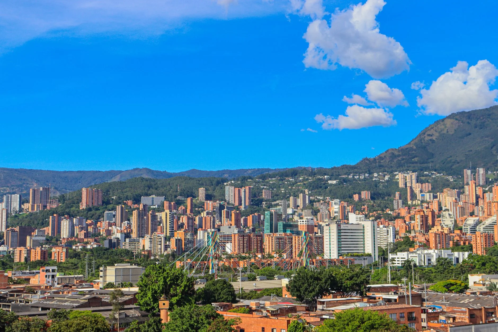 SEO in Colombia: How to Win Search in a Growing Market