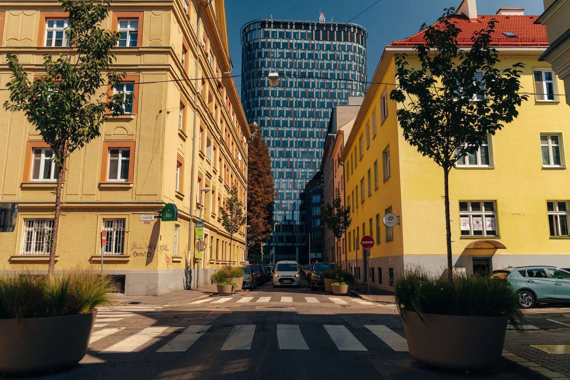 Why Clear Brand Identity Wins in Slovakia's Market