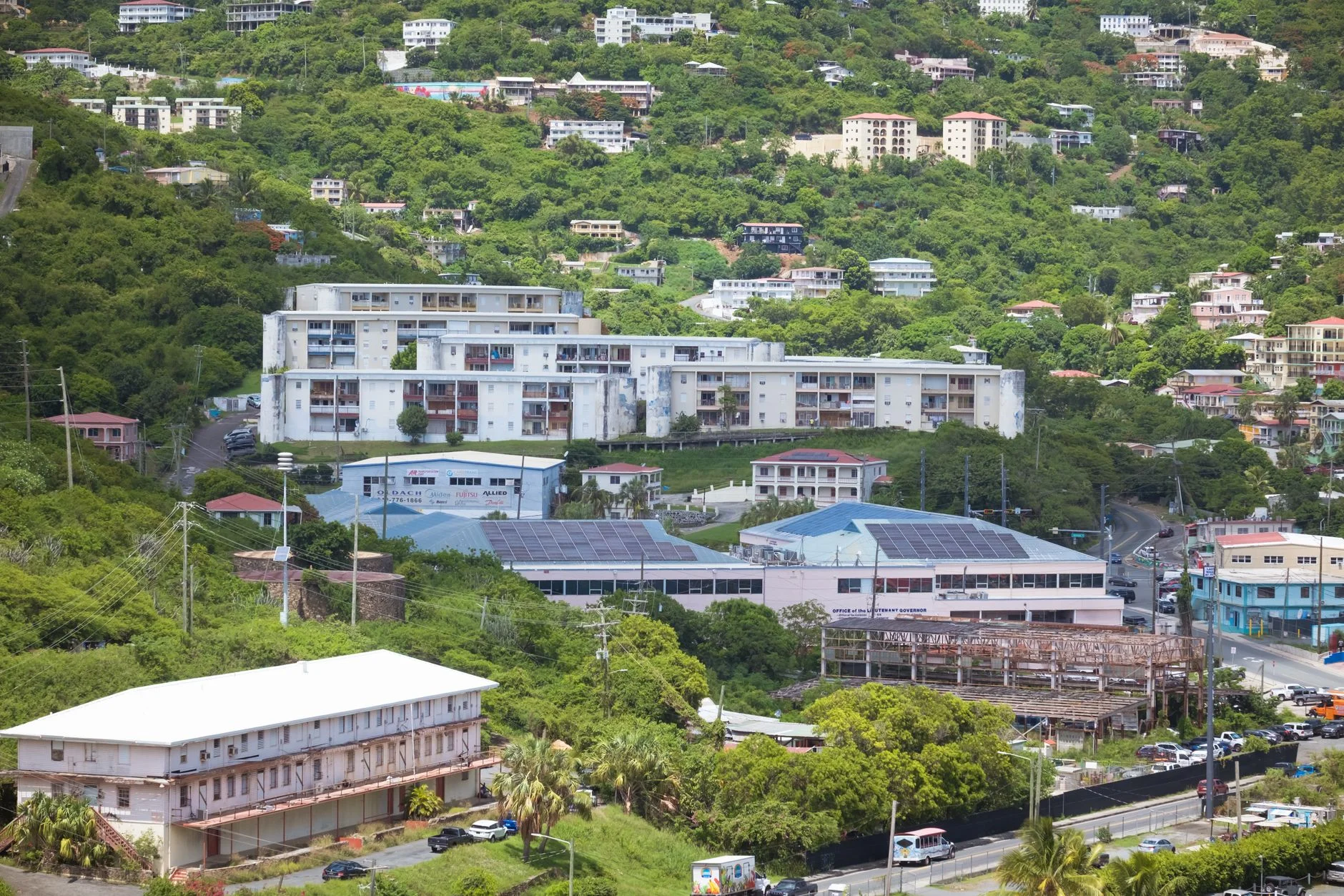 Reaching Buyers Profitably in Dominica with Paid Advertising