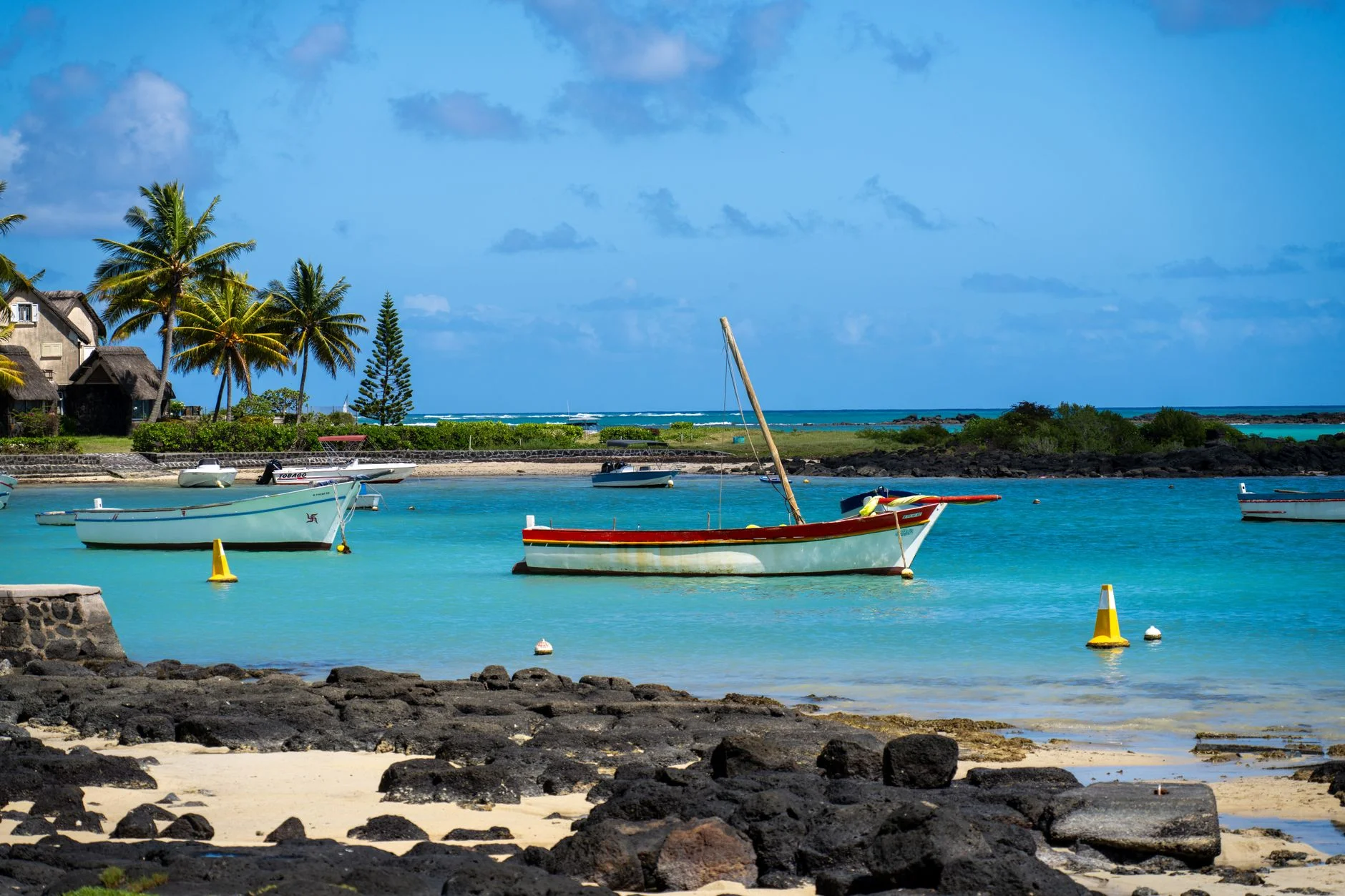 Building Attention and Trust with Video Marketing in Mauritius