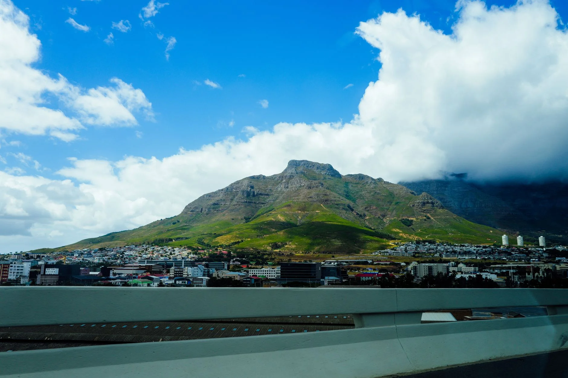 Video and Content in South Africa: Cut Through a Busy Feed
