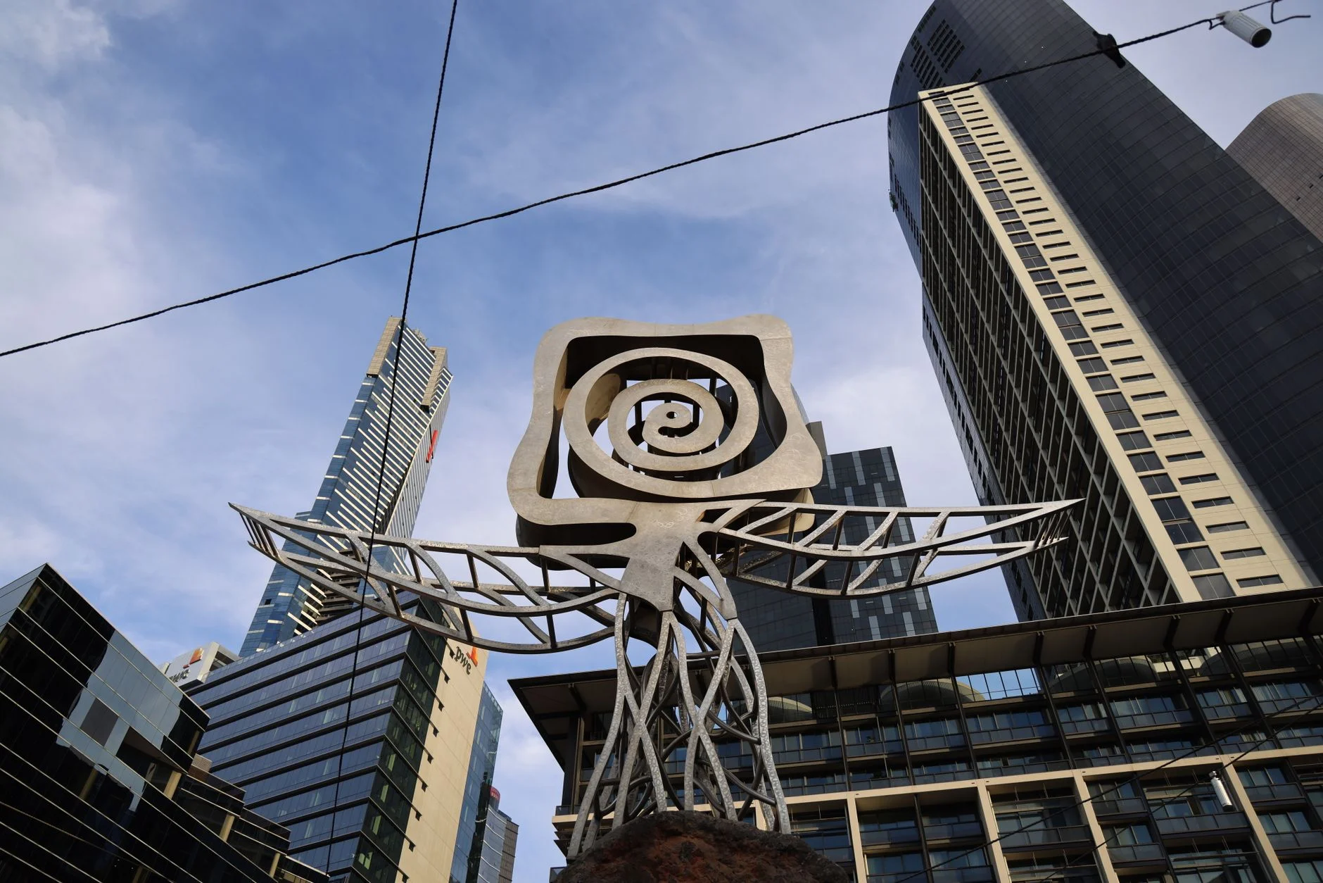 SEO in Australia: How to Win Local Search in a Few Big Cities