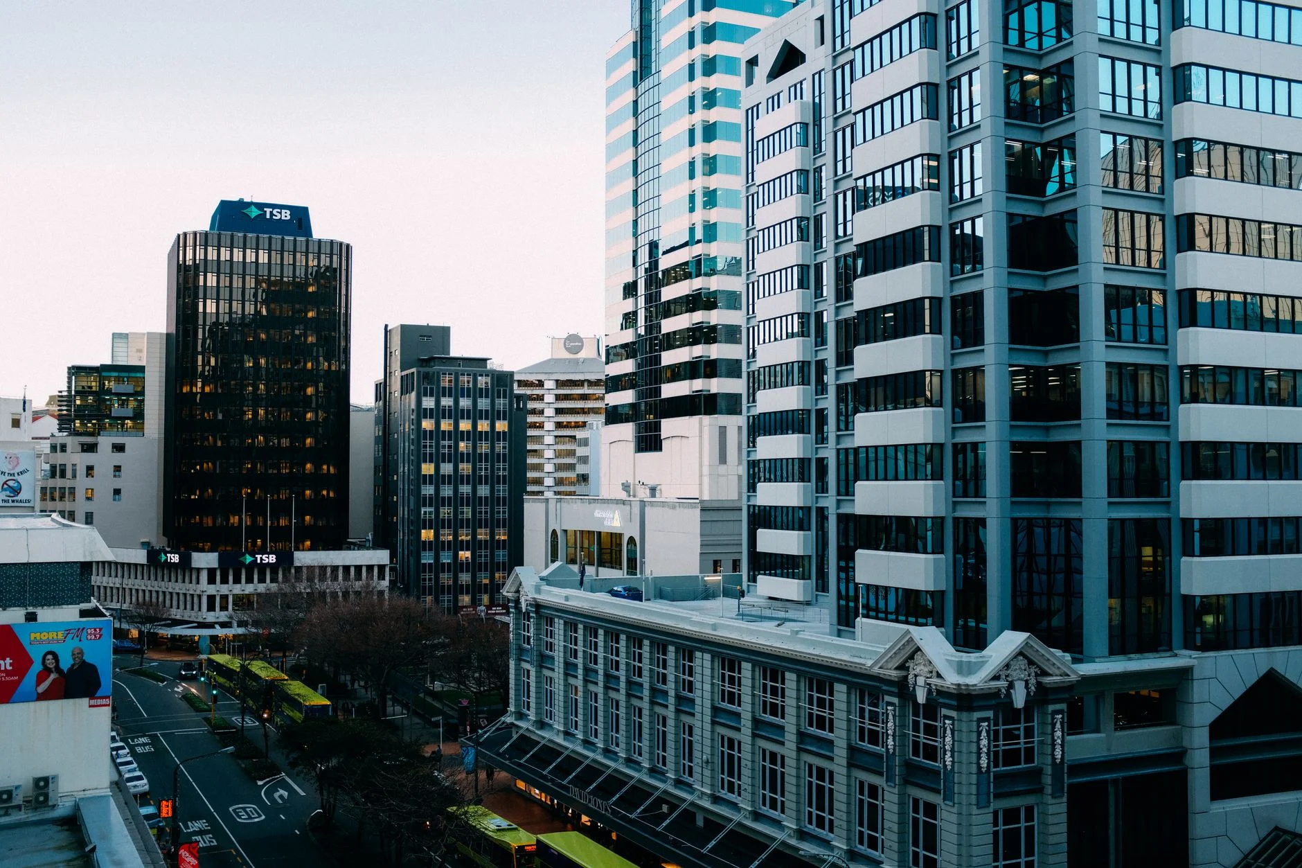 Web Development in New Zealand: Build a Site That Earns Trust
