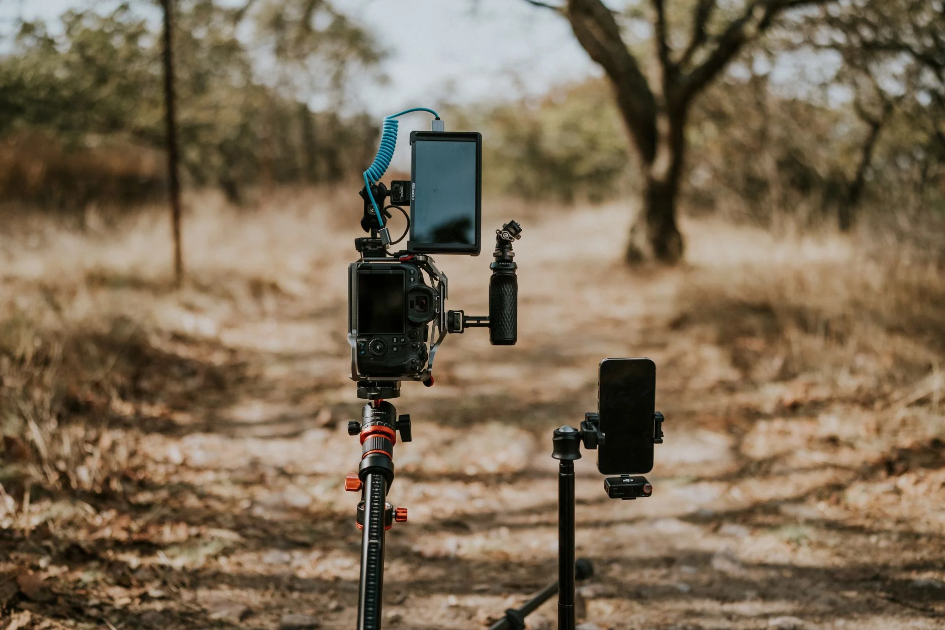 How Often Should I Post Video Content? | TTGC