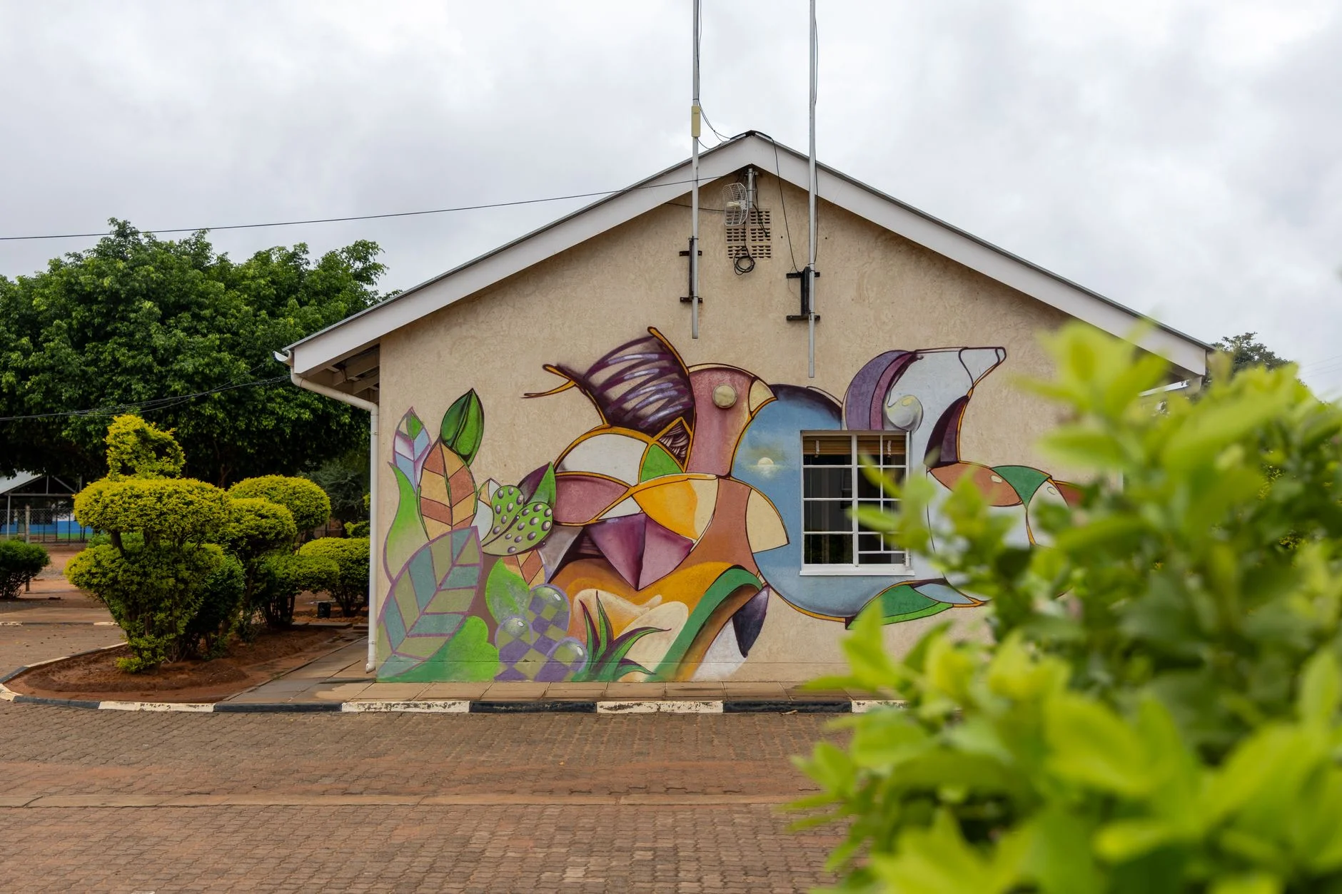 Video & Content Marketing in Botswana: Building Attention and Trust