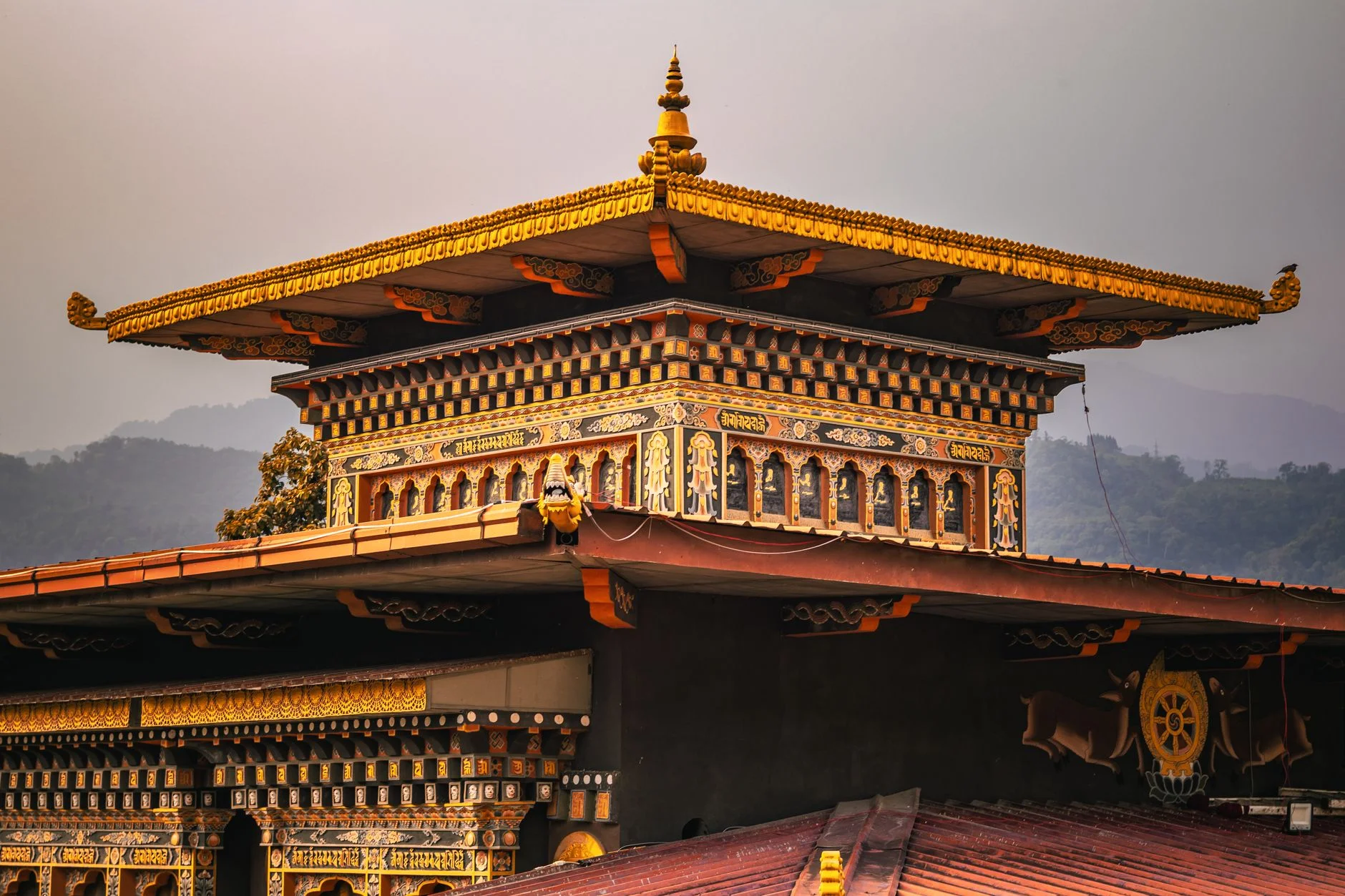 Web Development in Bhutan: Fast, Modern, Conversion-Focused Websites