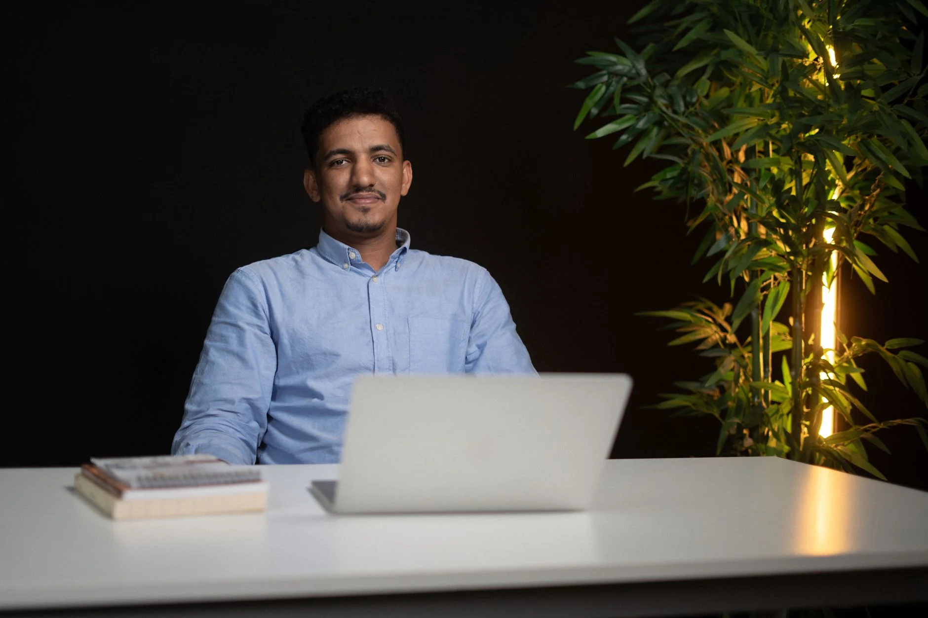SEO for Pest Control Companies