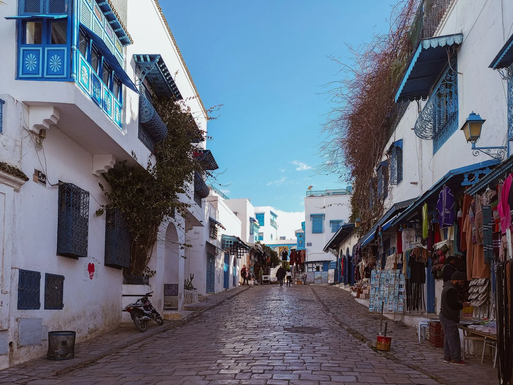 Search Engine Optimization for Local Buyers in Tunisia