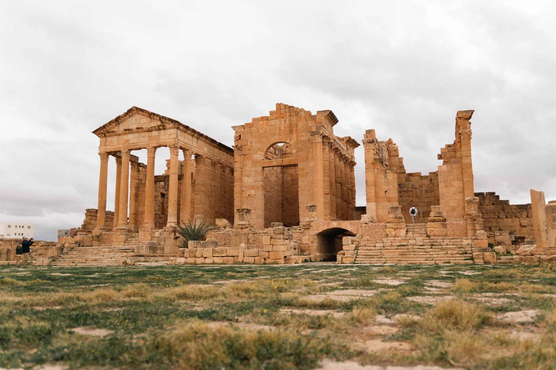 Web Development for Growth in Tunisia