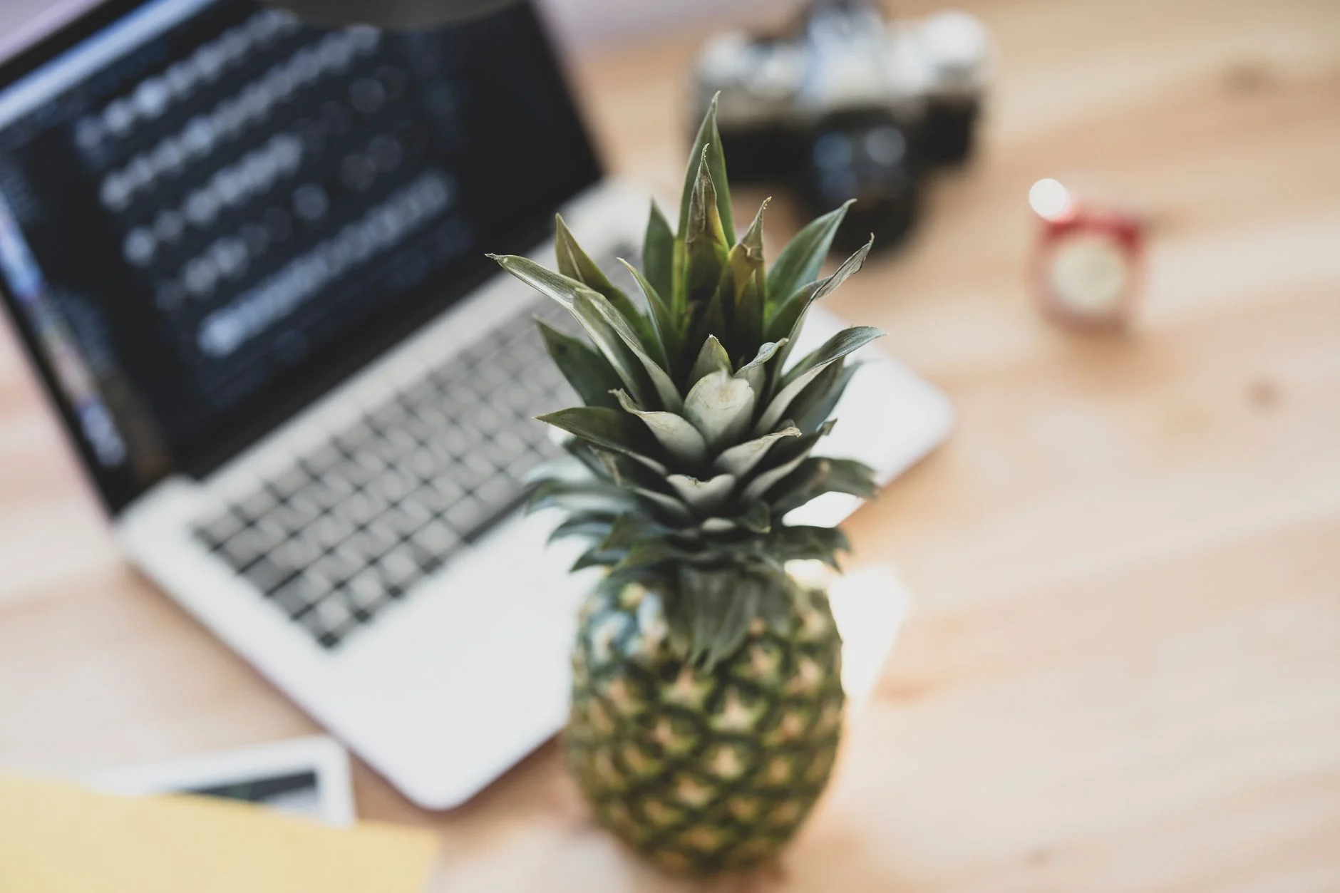 Do Freshness Signals Help AI Search Ranking? | TTGC