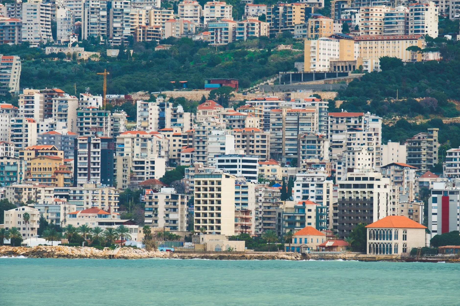 Video and Content Marketing: Building Attention and Trust in Lebanon