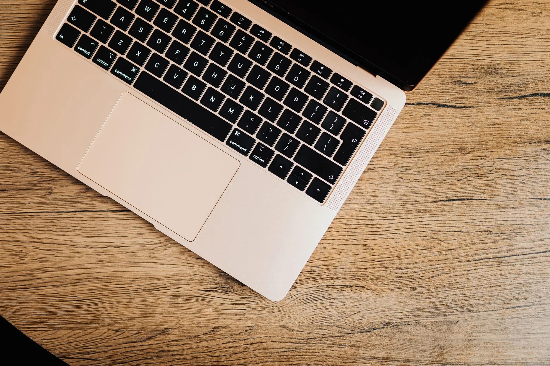 Can WordPress Sites Rank Without Paid SEO?