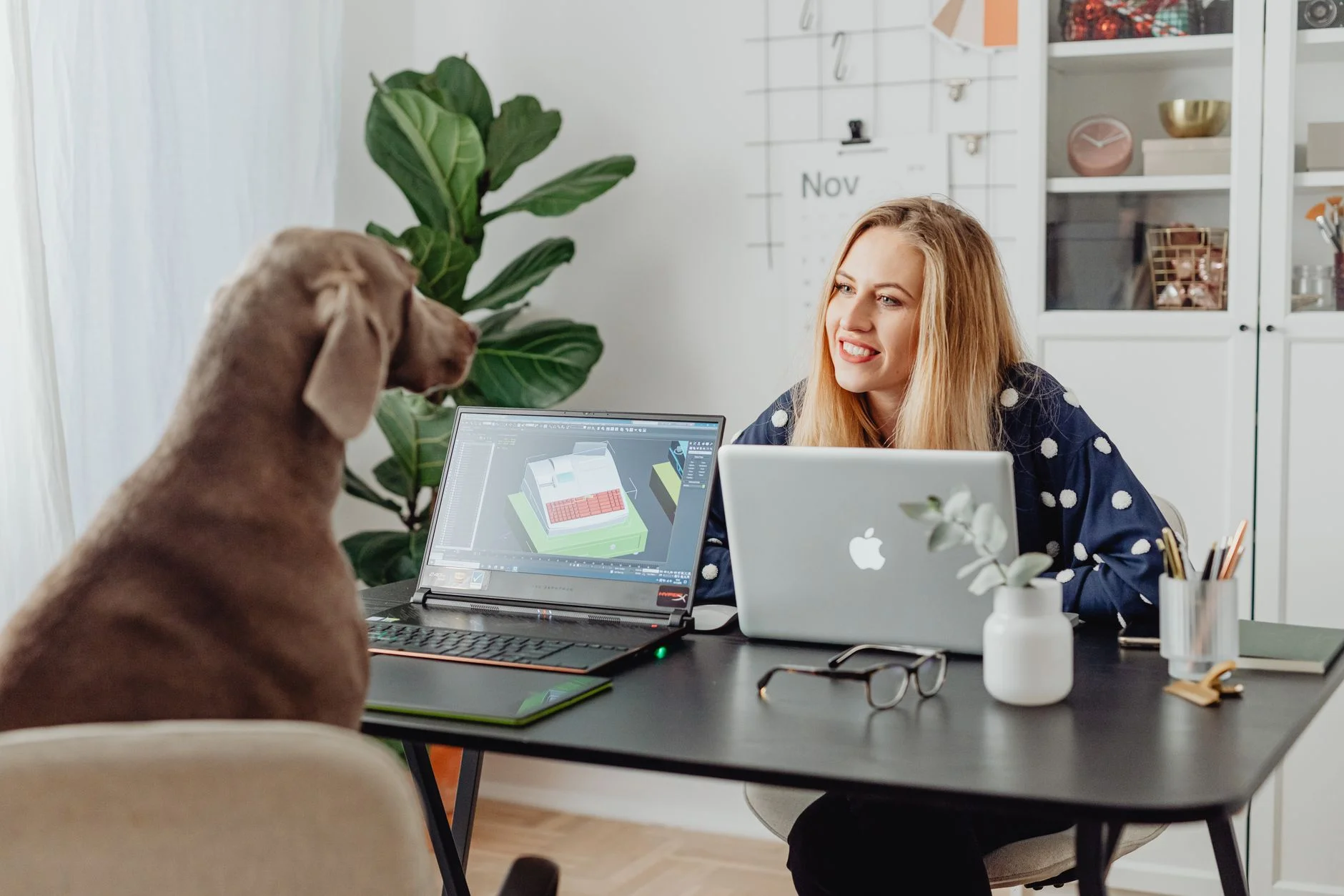 Branding for Luxury Pet Brands
