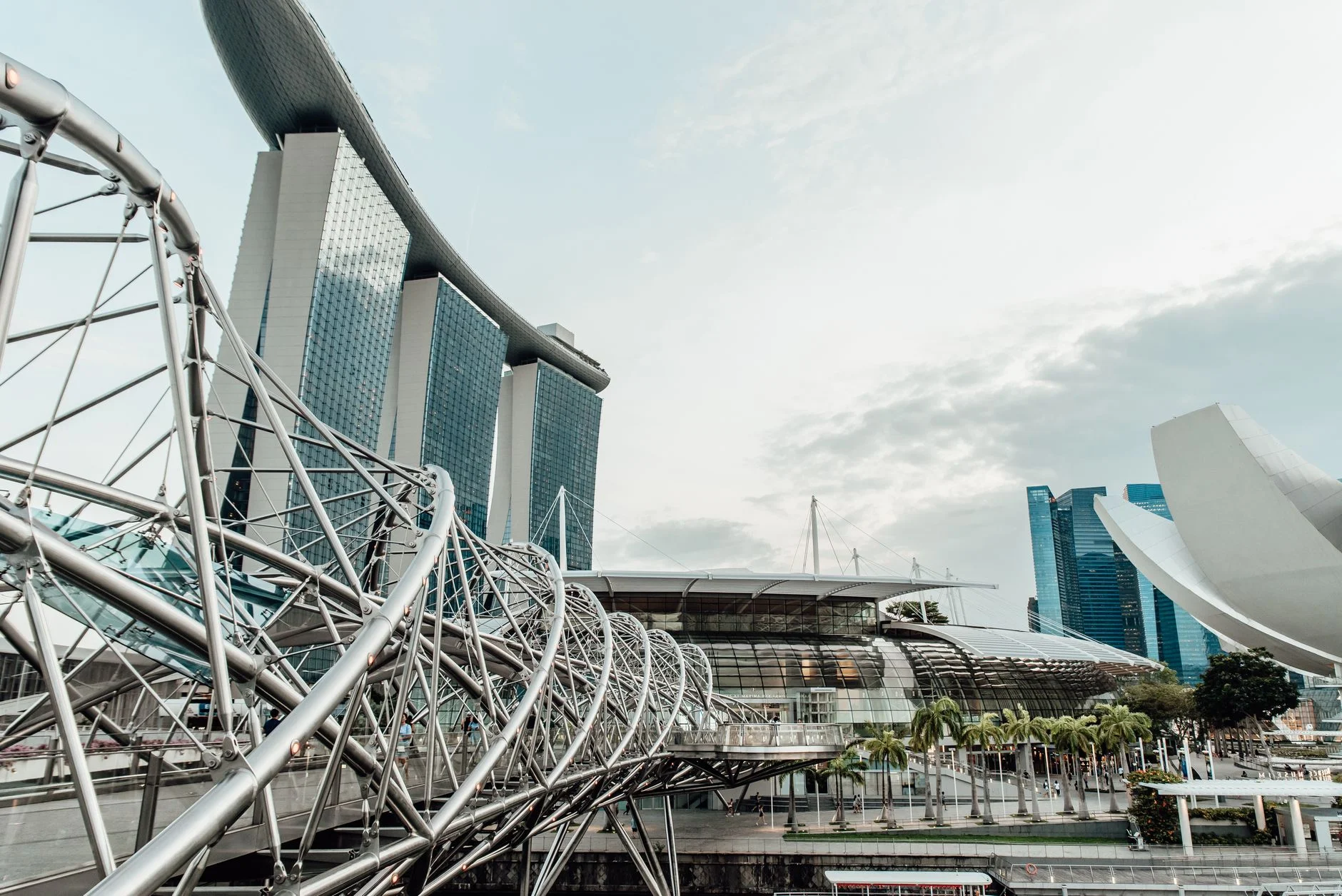 SEO in Singapore: How to Win Search in a Digital-First Market