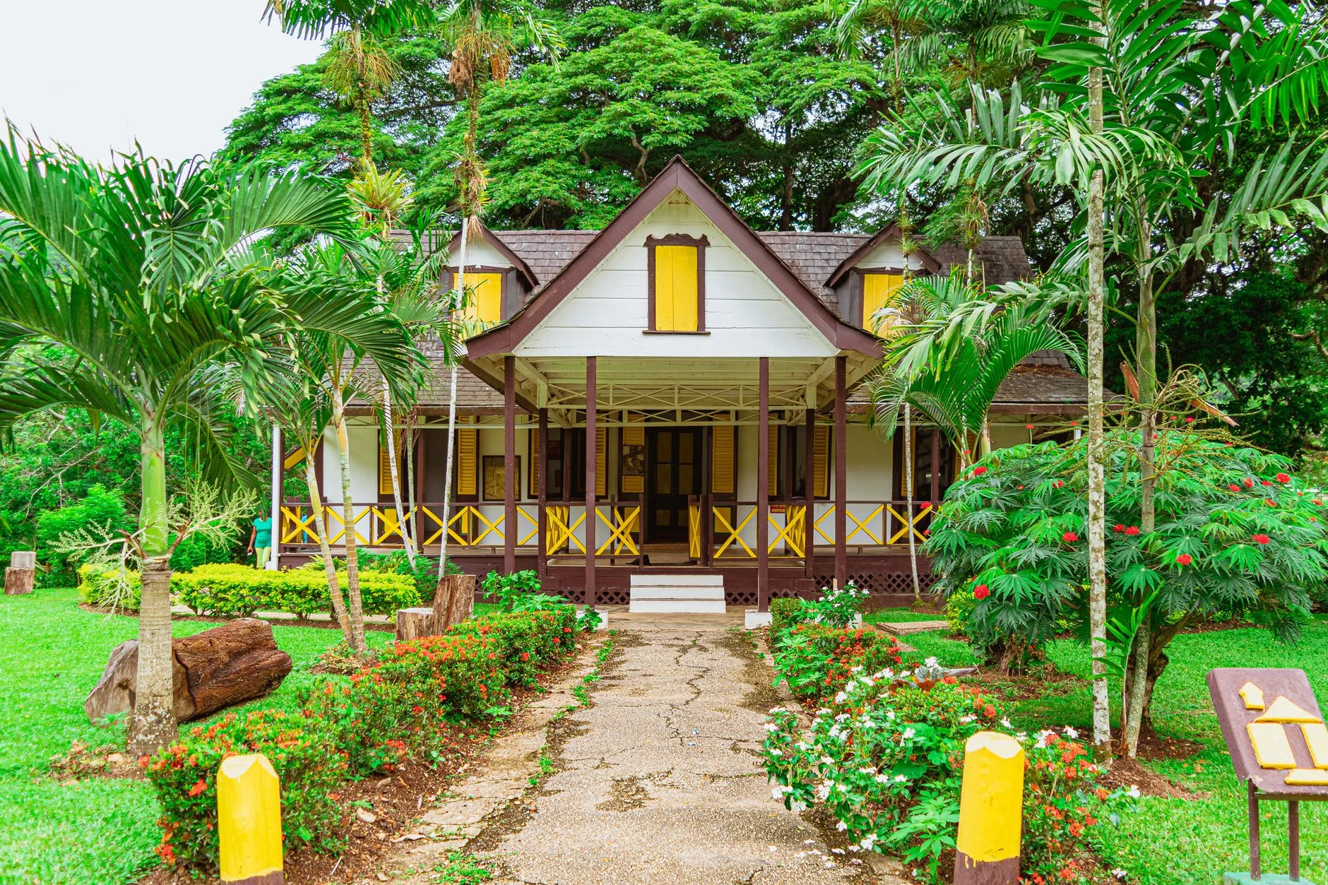 Video & Content Marketing: Building Attention and Trust in Trinidad and Tobago