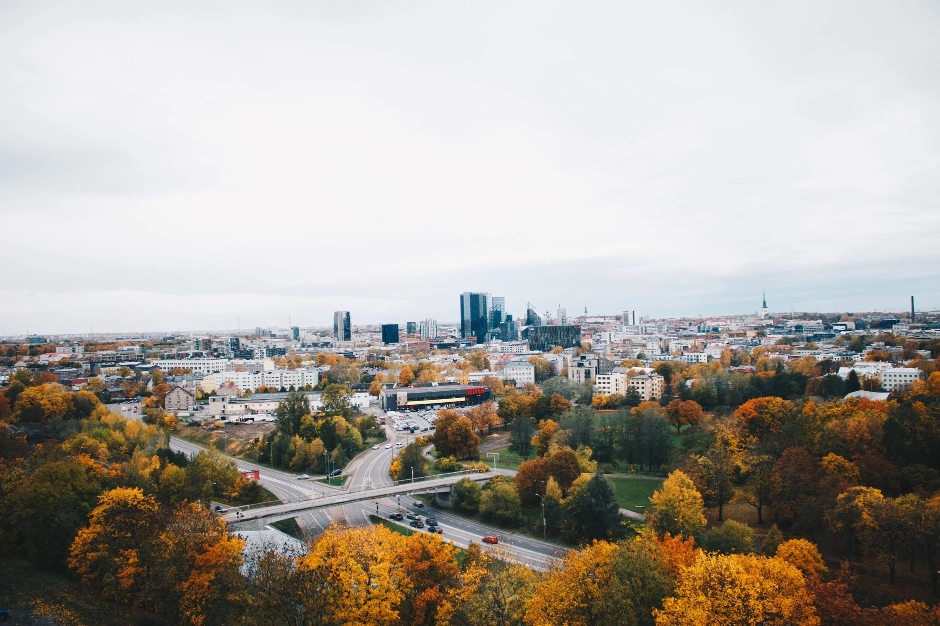 Reaching Buyers Profitably with Paid Advertising in Estonia