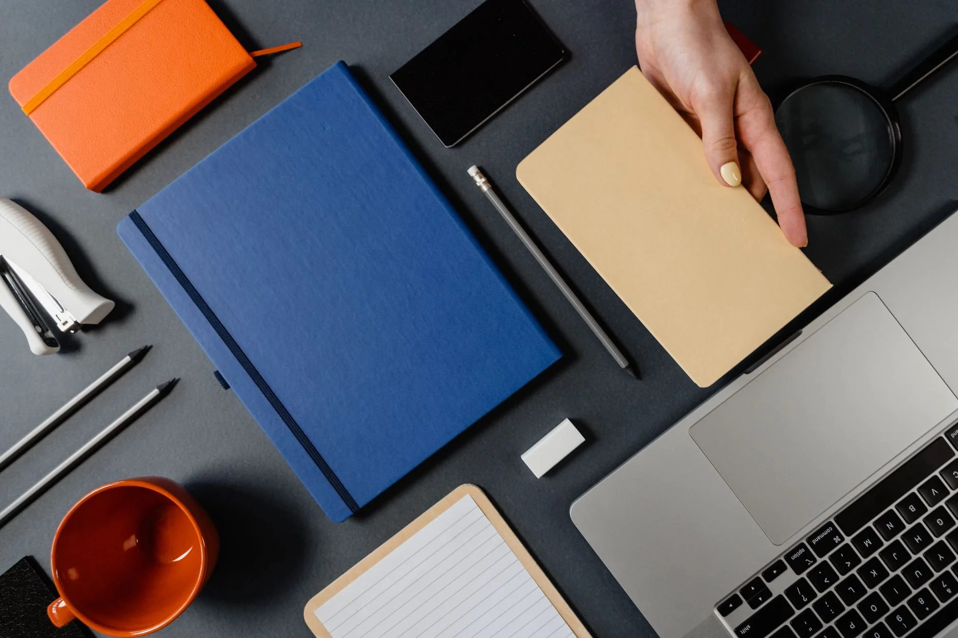 Framer vs WordPress: Which Is Better for Business Sites?