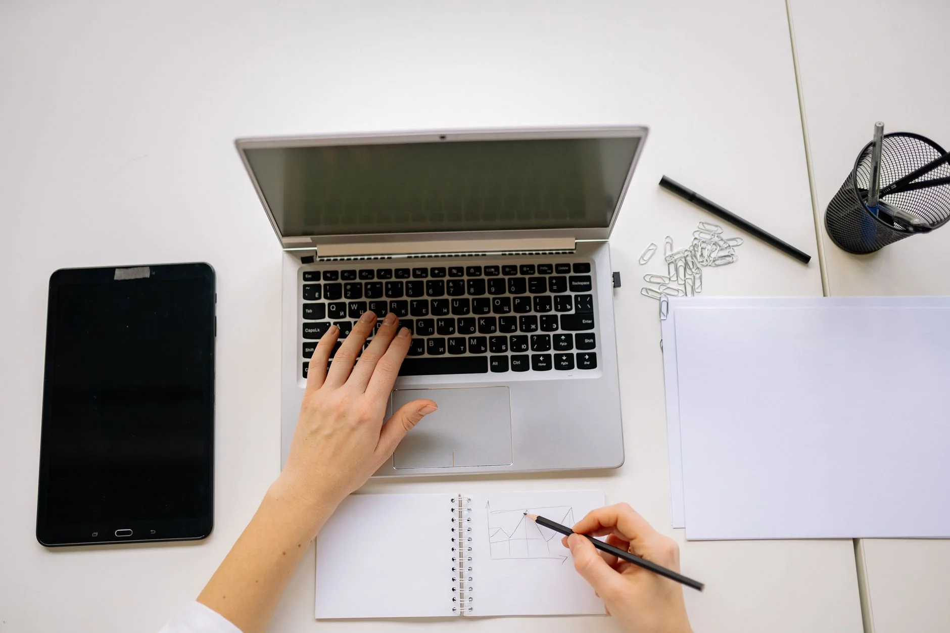 SEO for Chiropractors