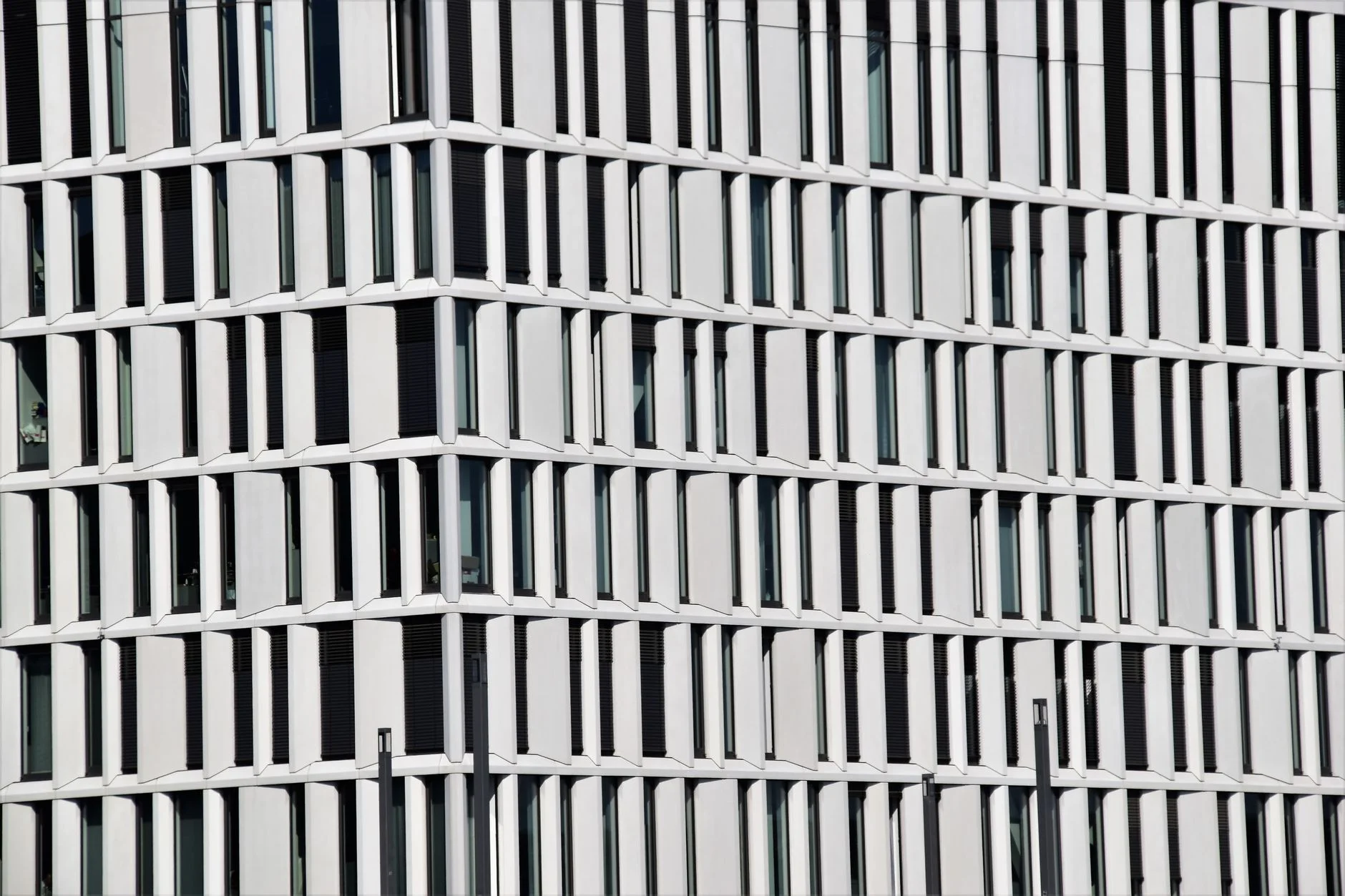 SEO in Germany: How to Win Search in a Quality-First Market
