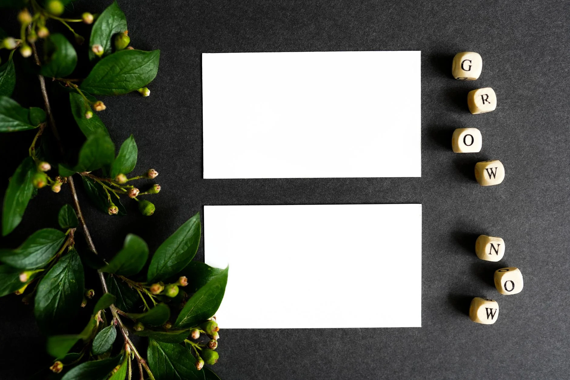 DSO Branding and Growth | TTGC